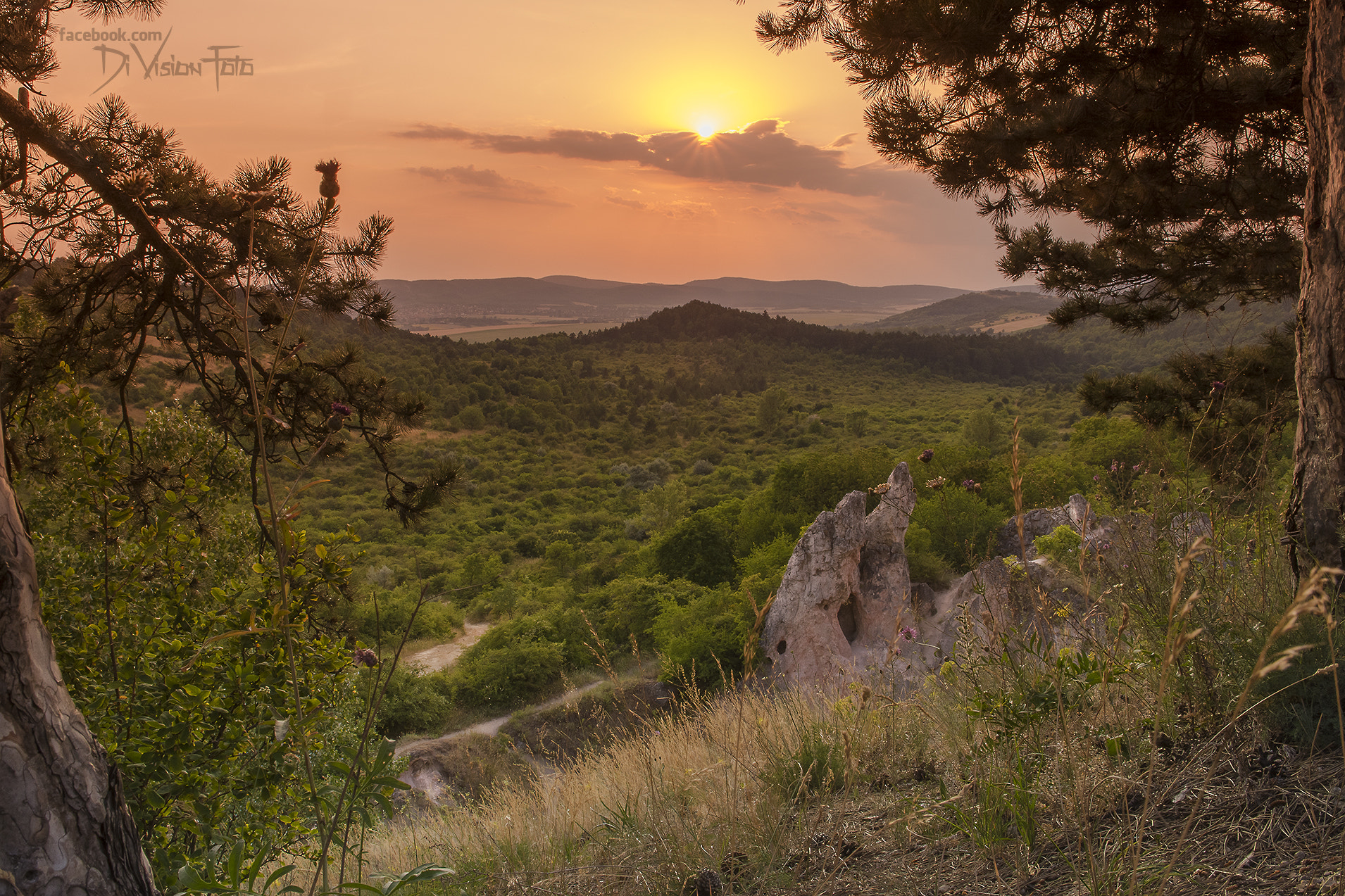 Sigma 17-70mm F2.8-4 DC Macro OS HSM | C sample photo. Camel rock, piliborosjenő photography