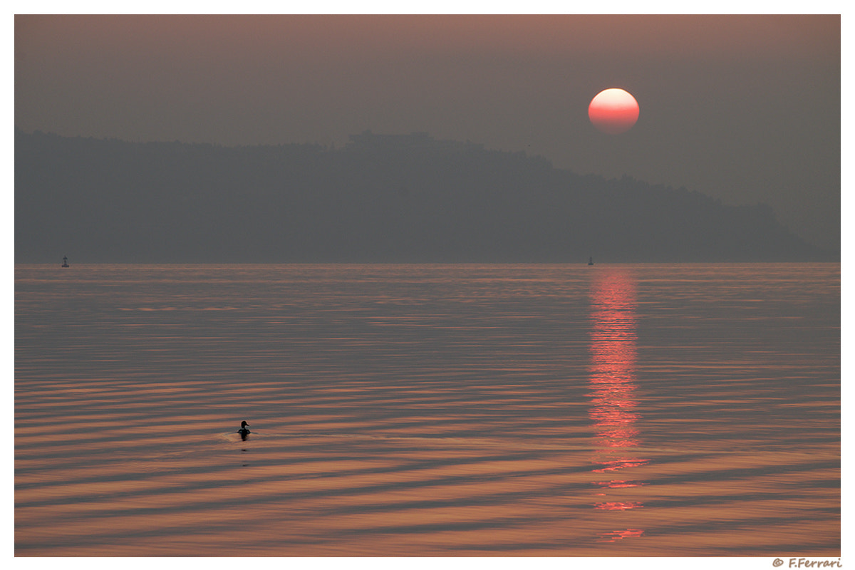 Pentax K-30 sample photo. At dusk 3 photography