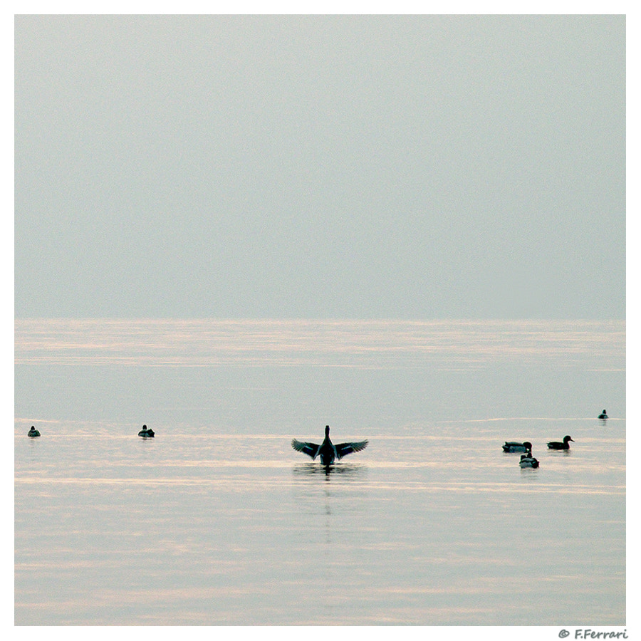 Pentax K-30 sample photo. The conductor photography