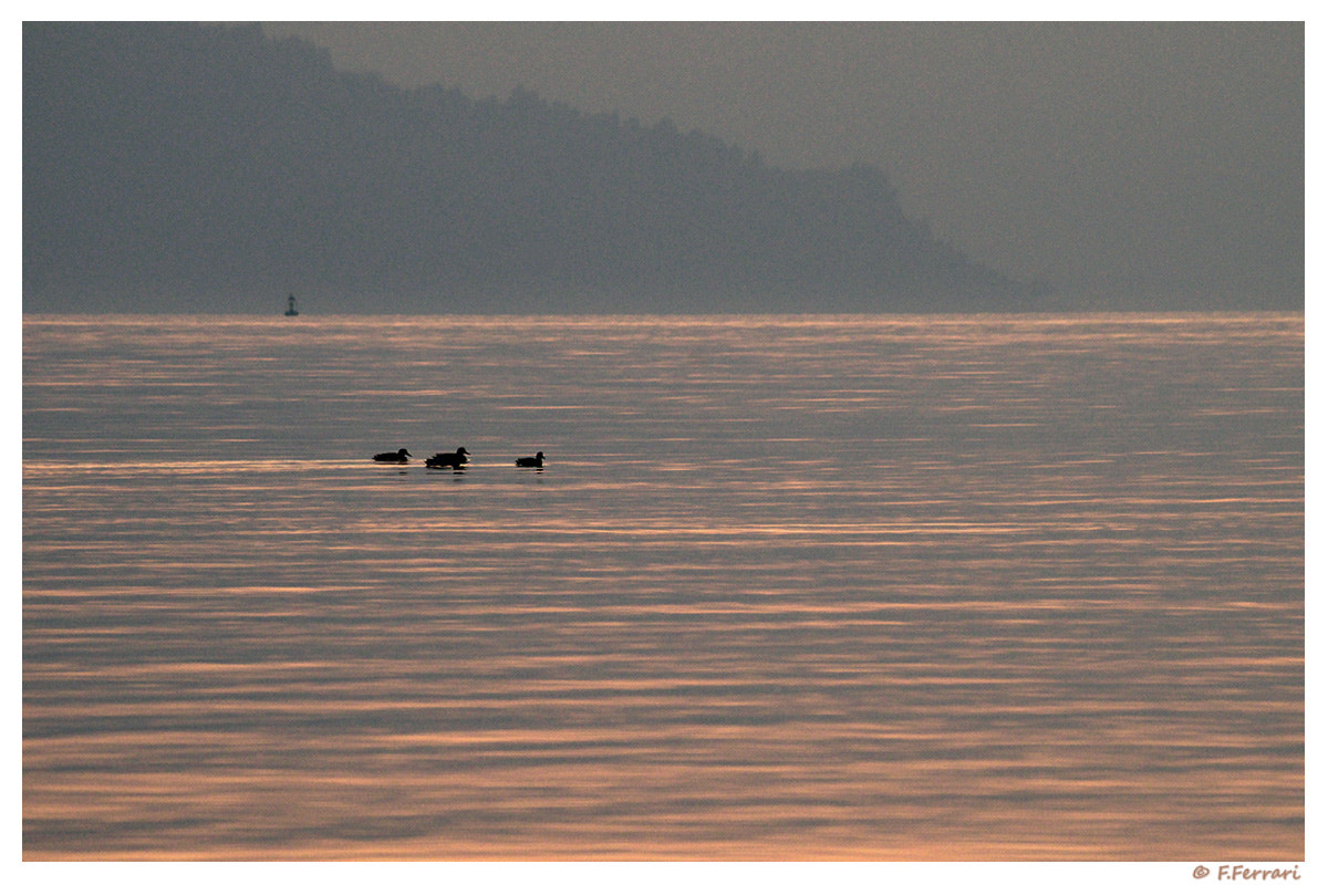 Pentax K-30 sample photo. At dusk 4 photography