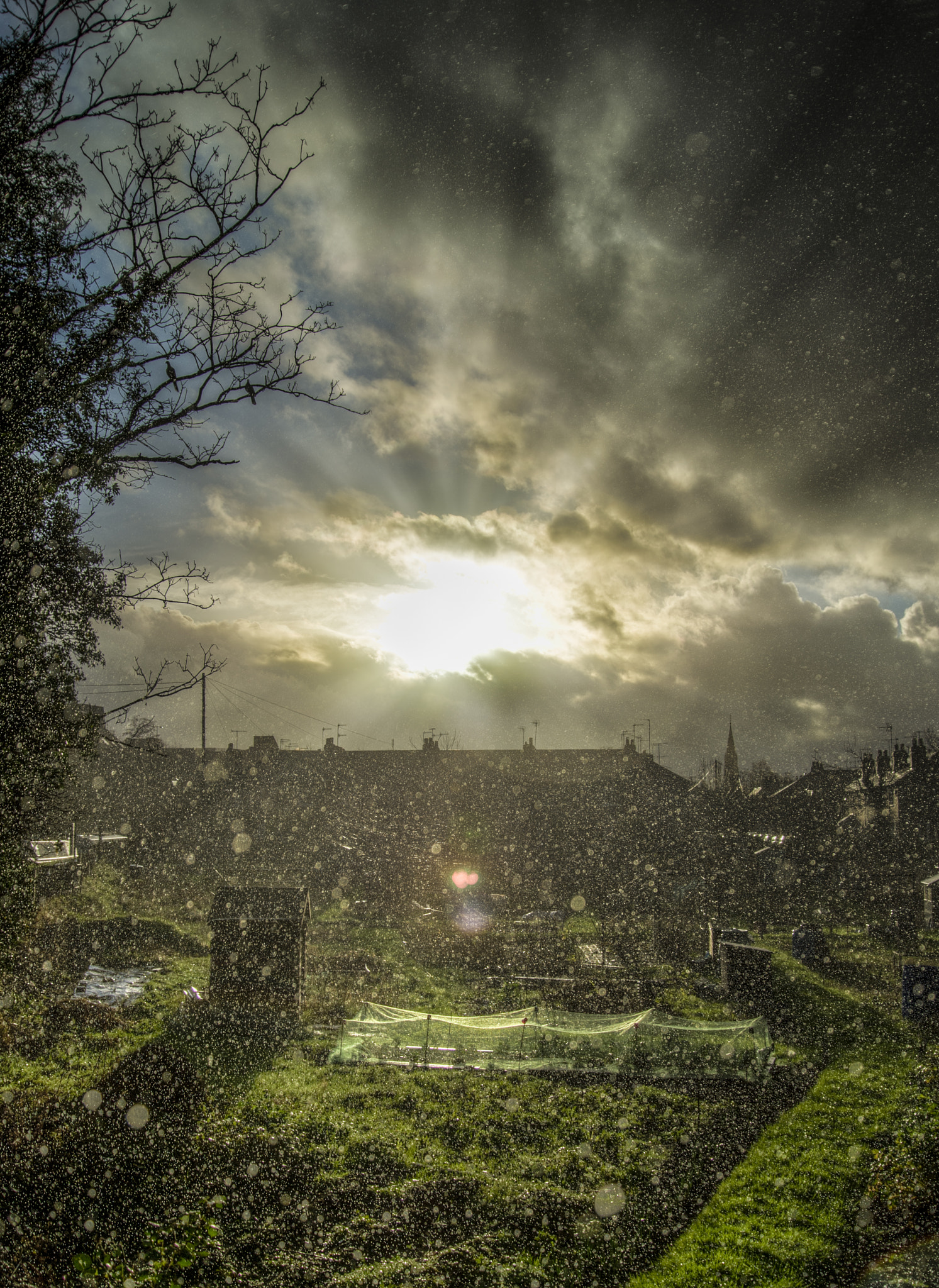 Nikon D4S sample photo. Winter rain photography