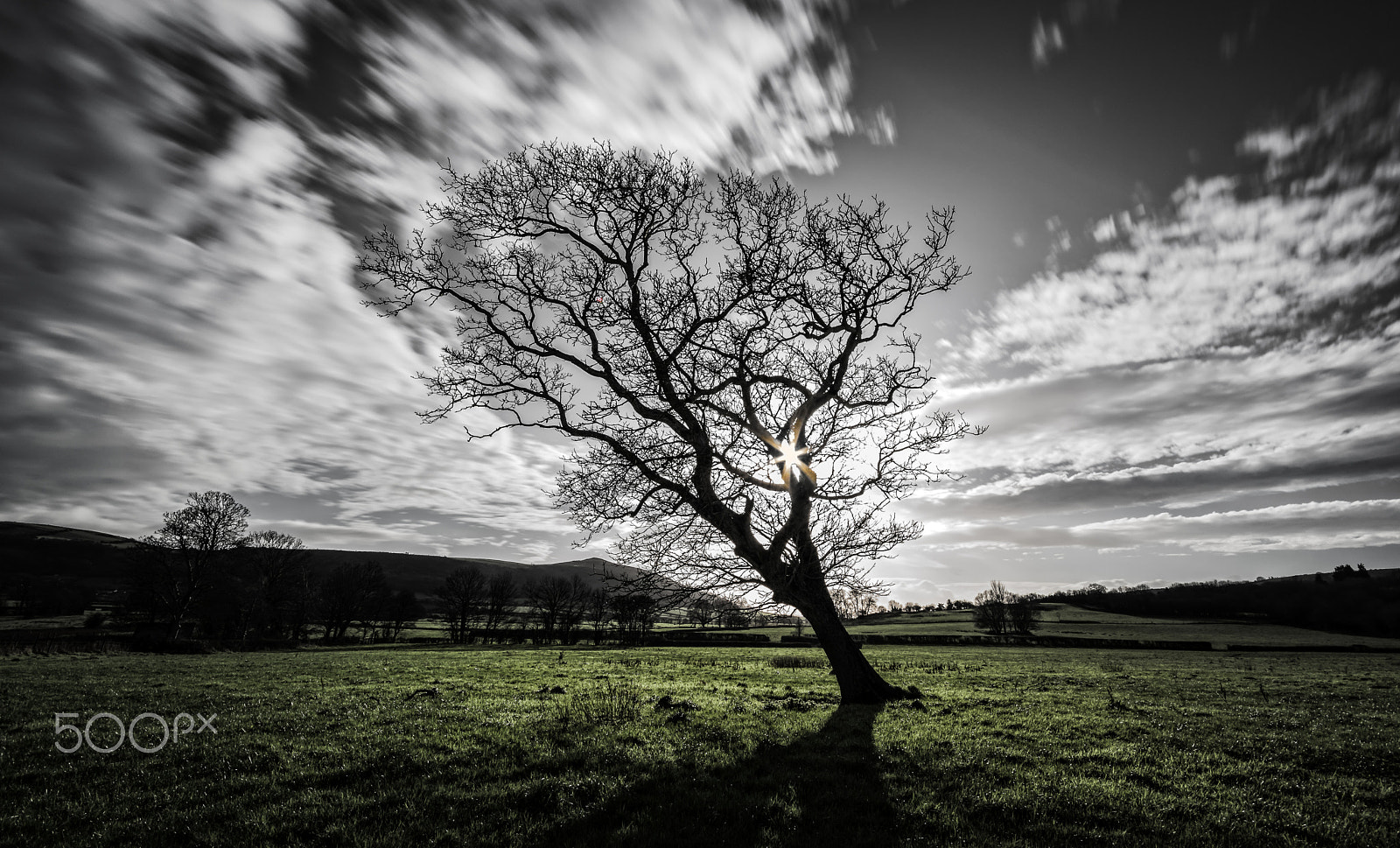 Sigma 10-20mm F4-5.6 EX DC HSM sample photo. Tree waiting for spring photography