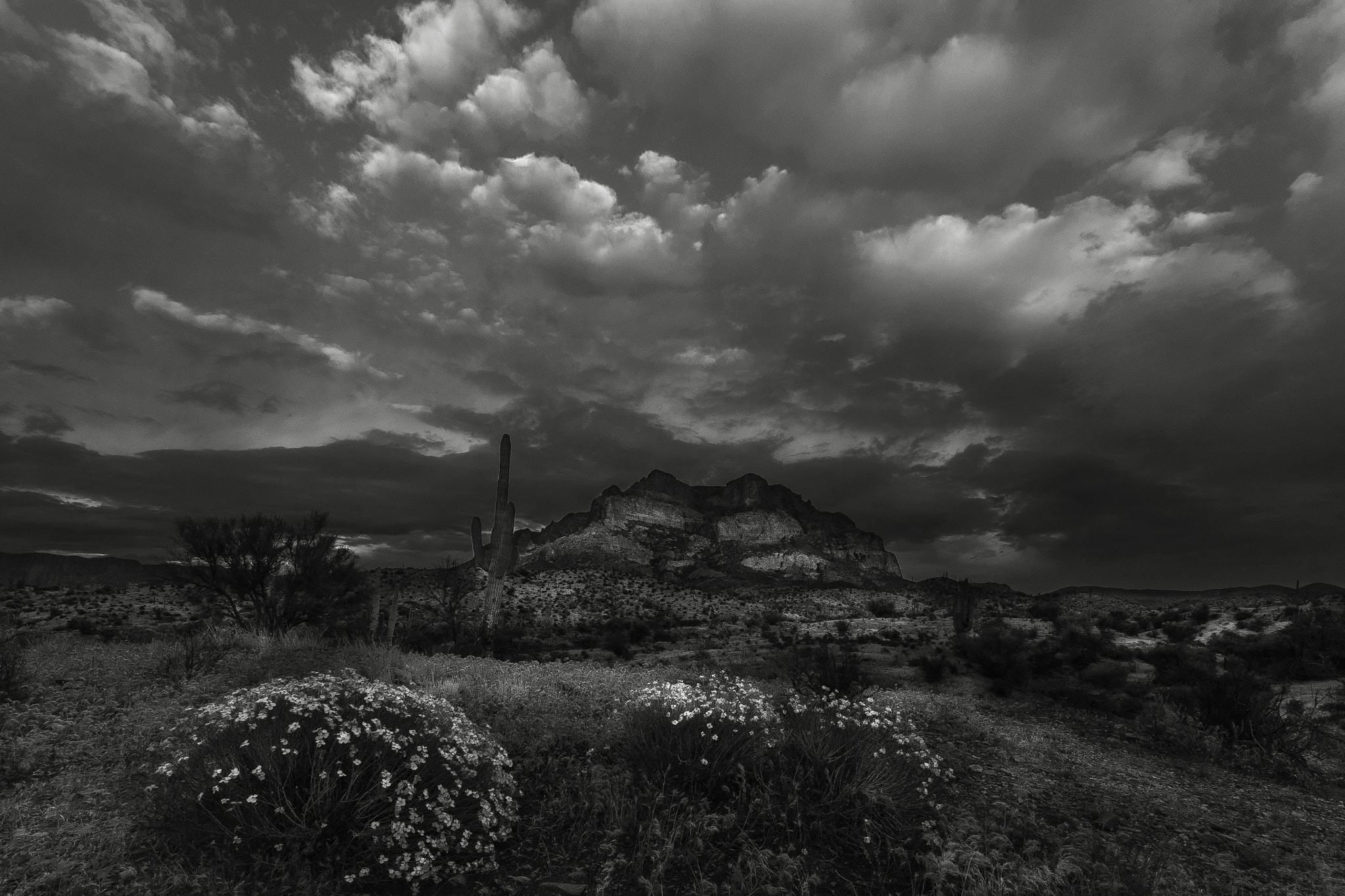 ZEISS Touit 12mm F2.8 sample photo. Storm coming over a trailhead in arizona  photography