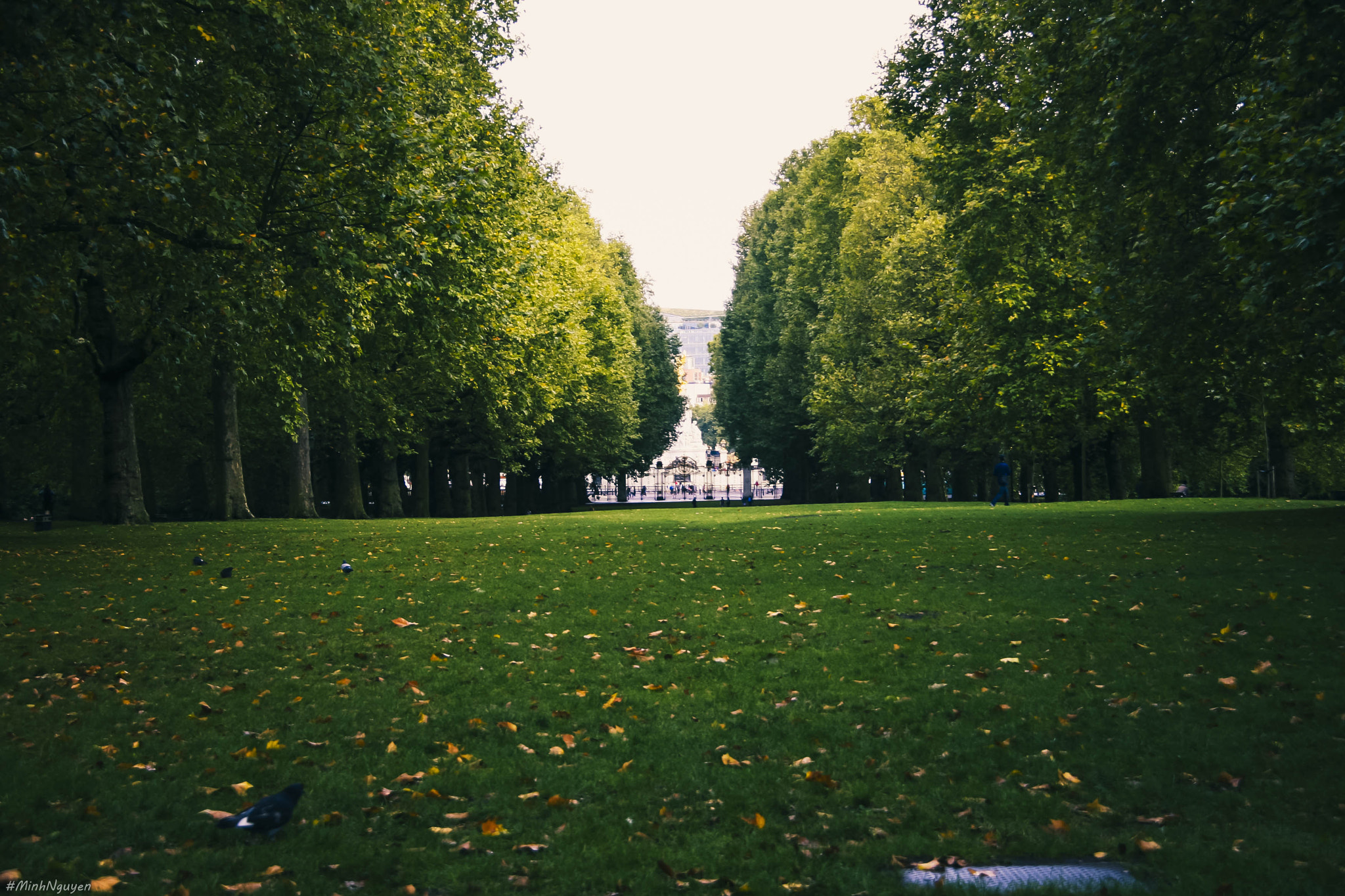 Canon EOS 30D sample photo. London | at the first sight photography