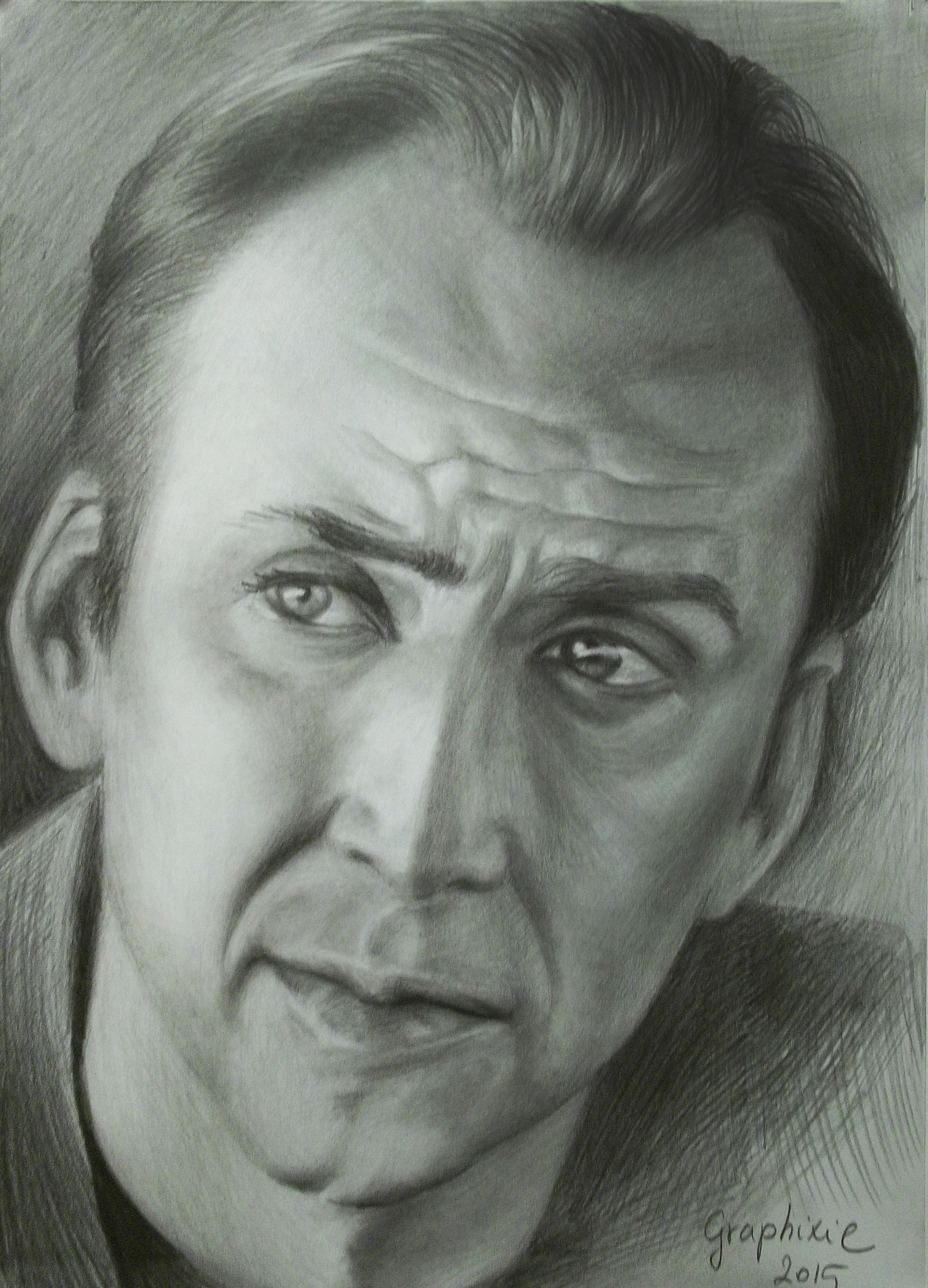Kodak EASYSHARE M531 DIGITAL CAMERA sample photo. Graphit drawing nikolas cage photography
