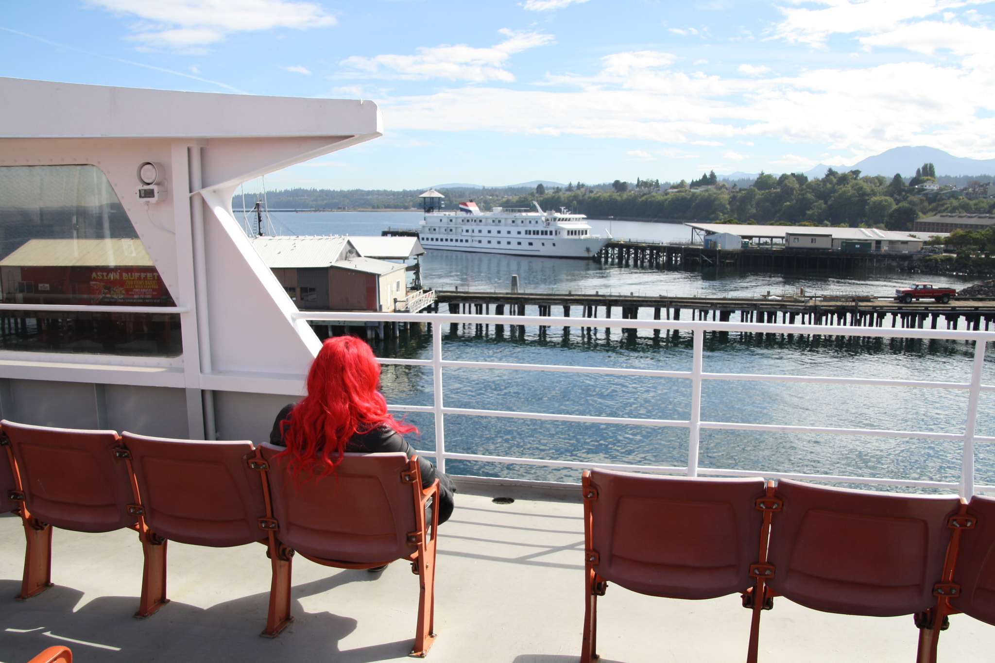 Canon EOS 1000D (EOS Digital Rebel XS / EOS Kiss F) sample photo. Red on the ferry photography