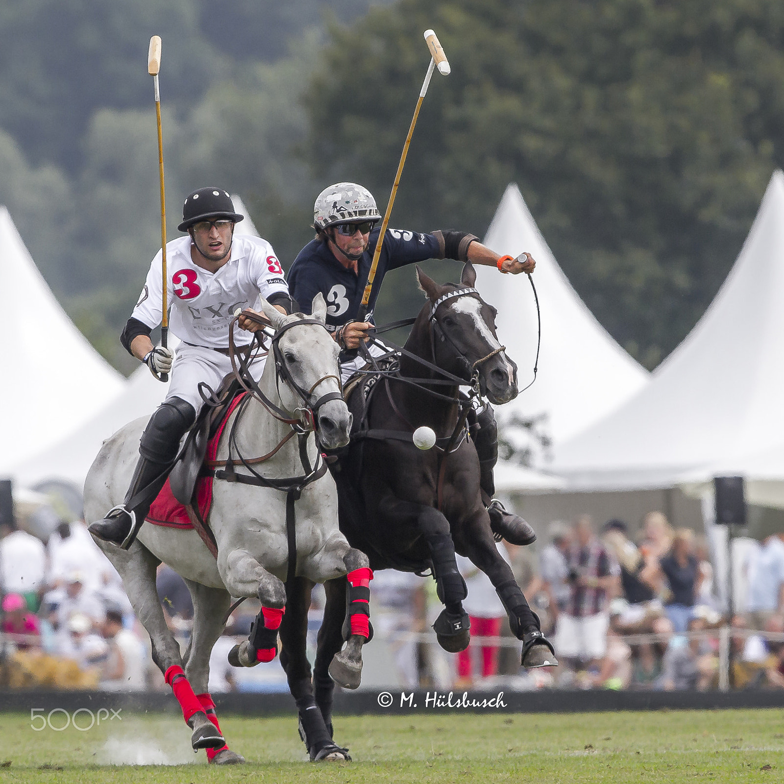 Canon EF 300mm F2.8L IS II USM sample photo. Polo duell photography
