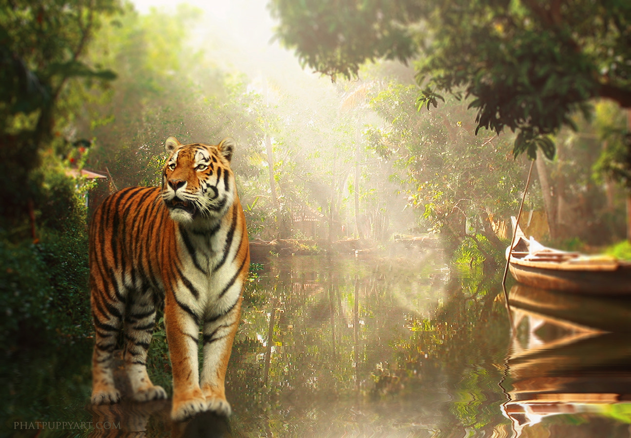 Canon EF 28-90mm f/4-5.6 sample photo. Wild photography