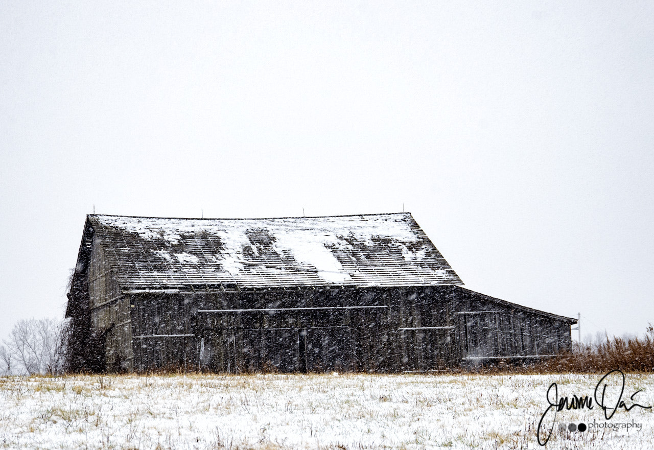 Canon EOS-1D X + Sigma 24-105mm f/4 DG OS HSM | A sample photo. Snowy barn photography