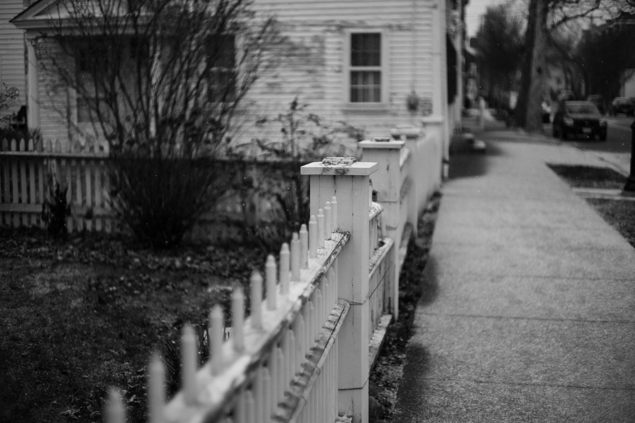 Leica M9 + Summilux-M 50mm f/1.4 (II) sample photo. Flakes photography