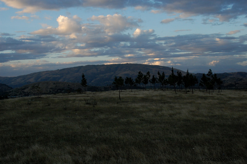 Nikon D40 sample photo. Paisaje.carretera el cercado-hondo valle,república domonicana photography