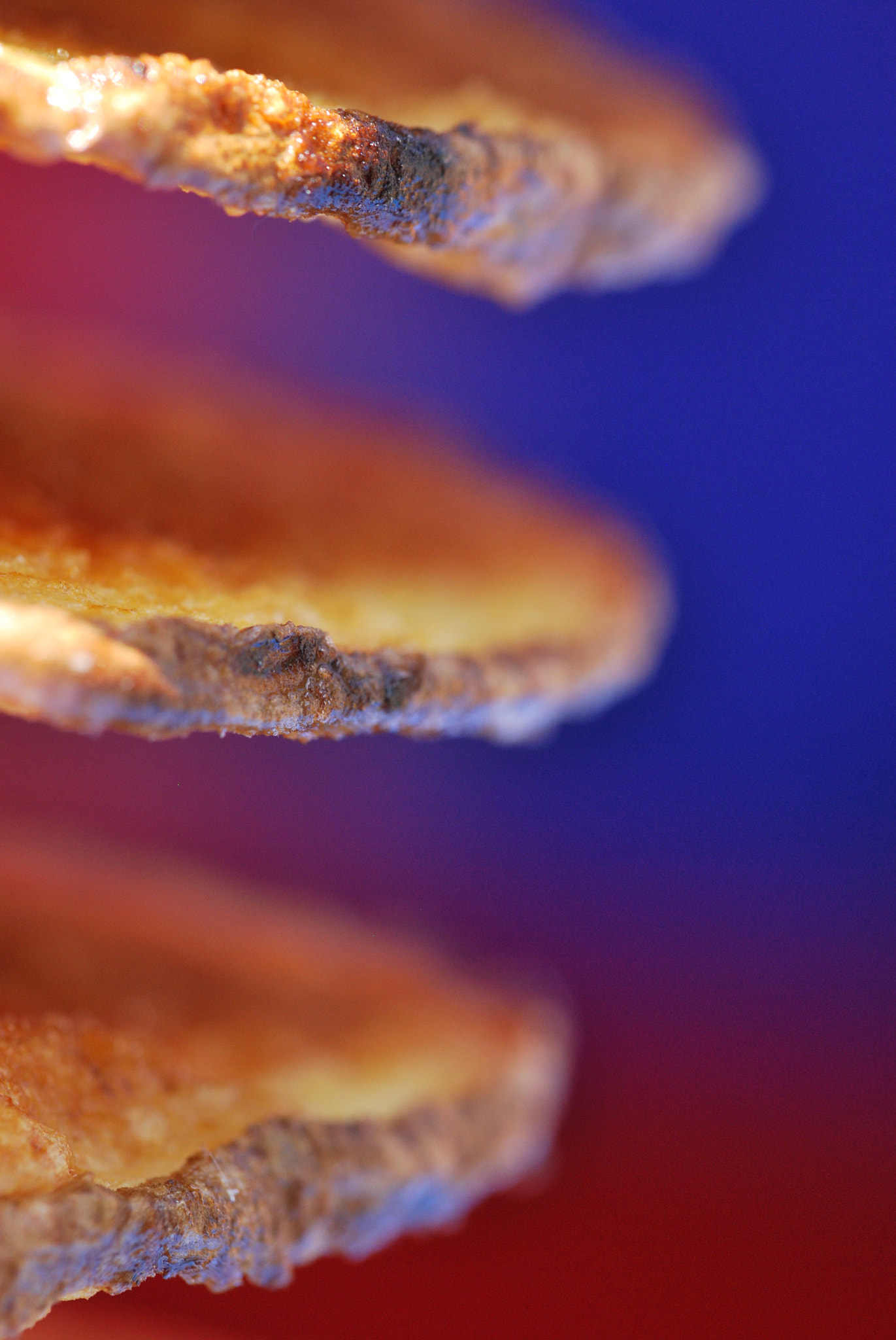 Nikon D60 sample photo. Spiral photography