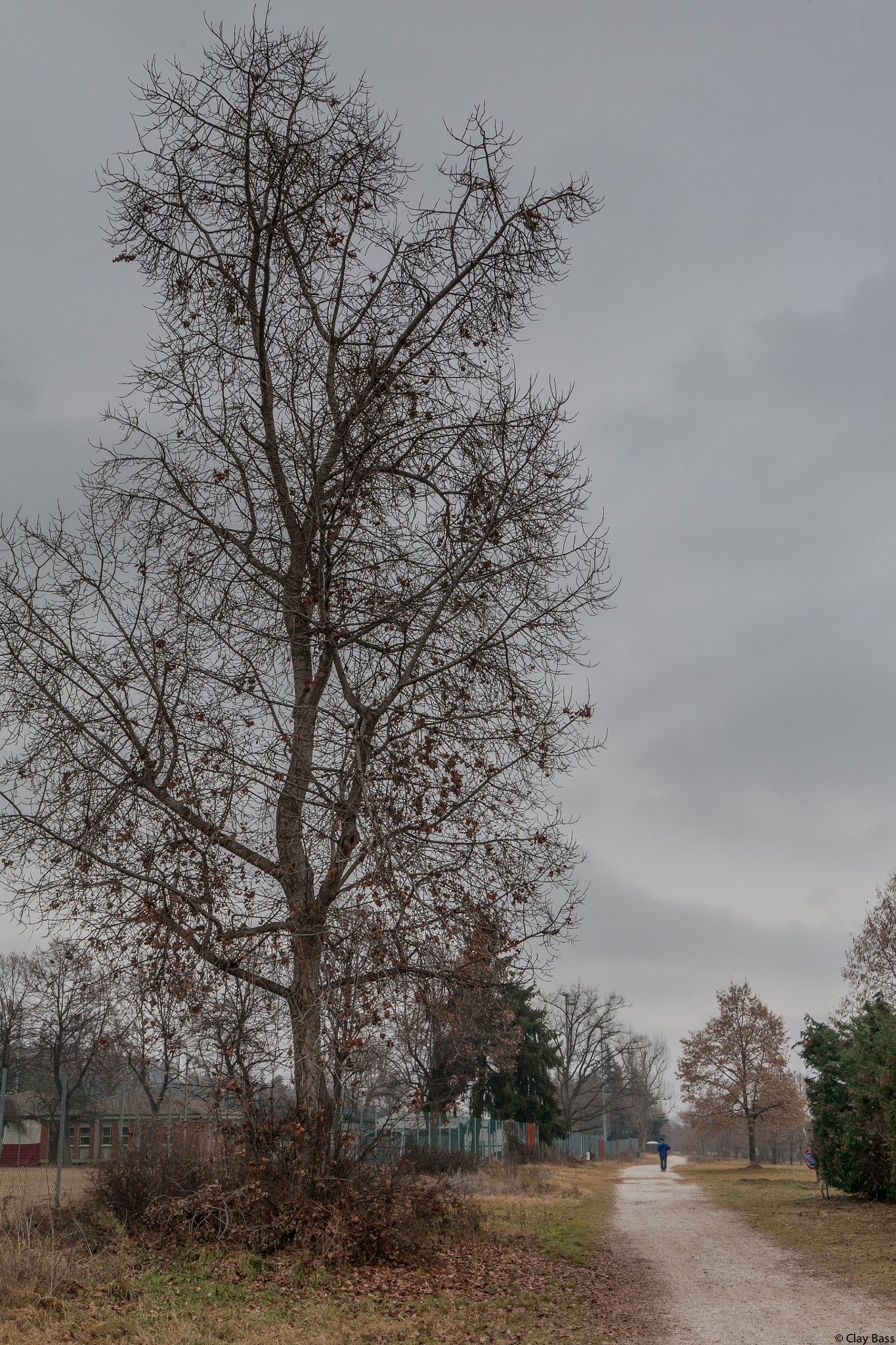 Canon EF 24-105mm F3.5-5.6 IS STM sample photo. L'inverno photography