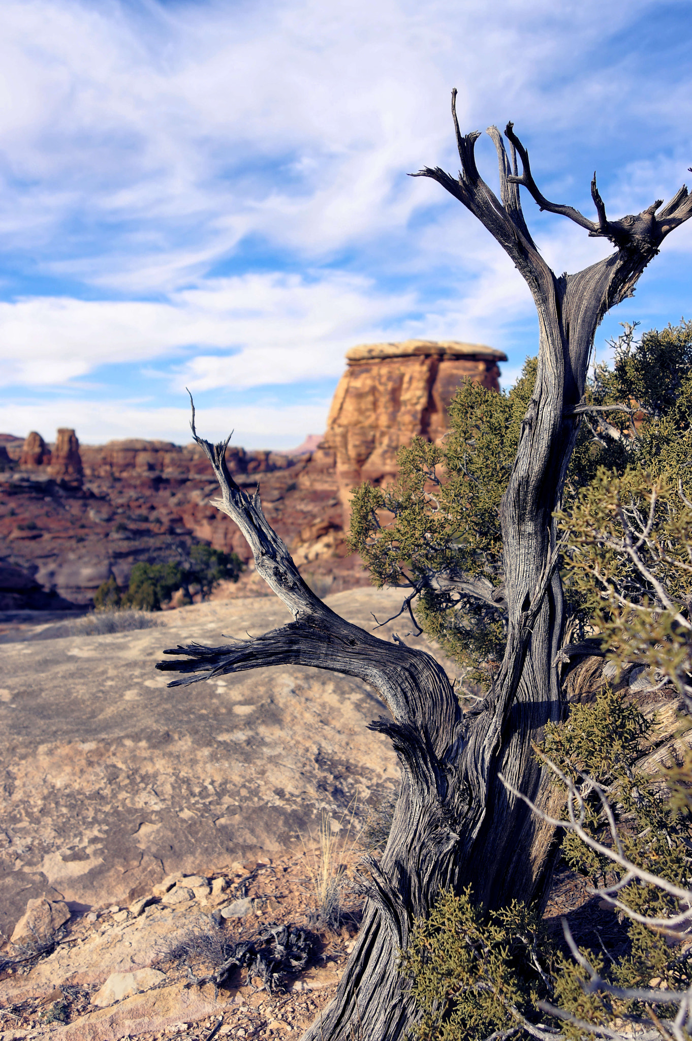 Pentax K-3 II sample photo. Wilderness photography