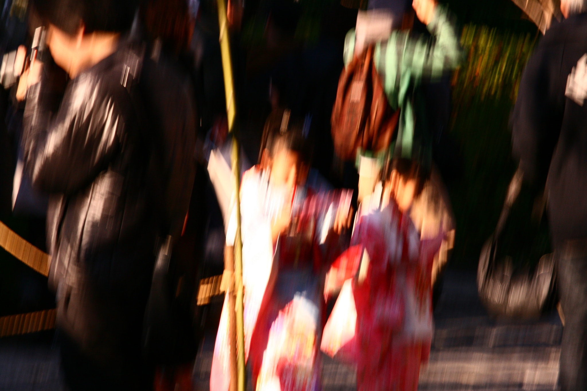 Canon EF 55-200mm F4.5-5.6 II USM sample photo. Passing photography