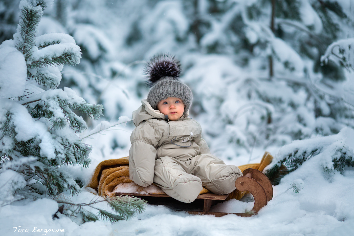 Canon EOS 5DS + Canon EF 135mm F2L USM sample photo. Snow photography