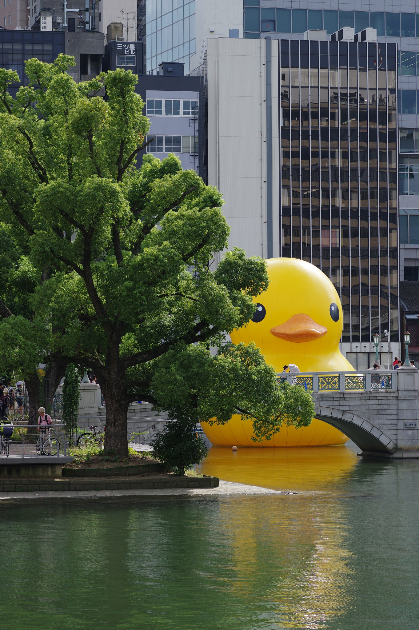 Pentax K-3 II + Pentax smc FA 77mm 1.8 Limited sample photo. Watching you! photography