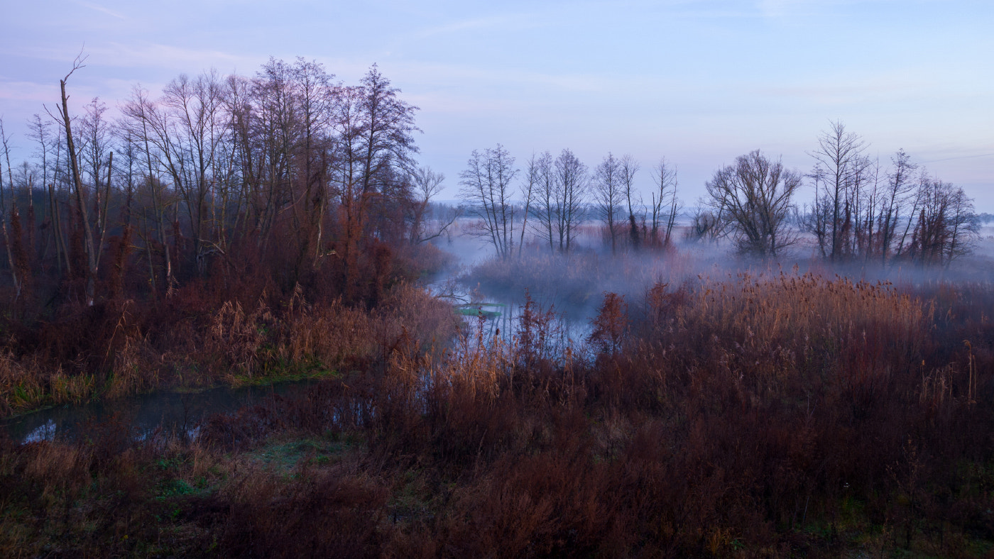 Nikon D200 sample photo. Autumn sunrise photography