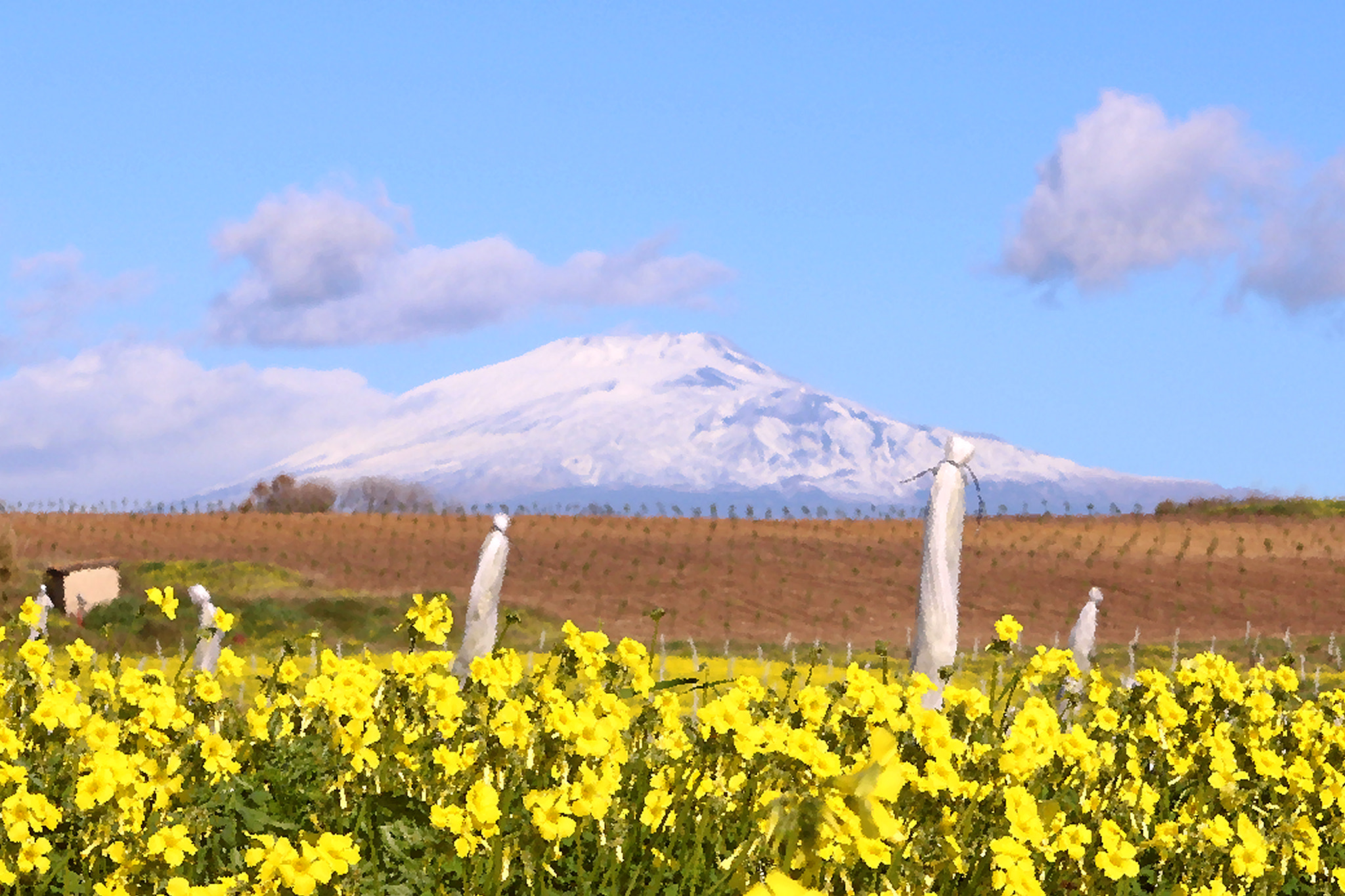 Canon EOS 760D (EOS Rebel T6s / EOS 8000D) + Canon EF 17-40mm F4L USM sample photo. Etna, oiled. photography