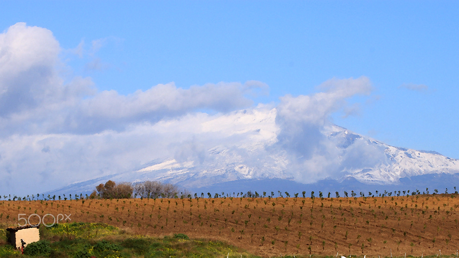 Tamron SP 35mm F1.8 Di VC USD sample photo. Etna olio xx photography
