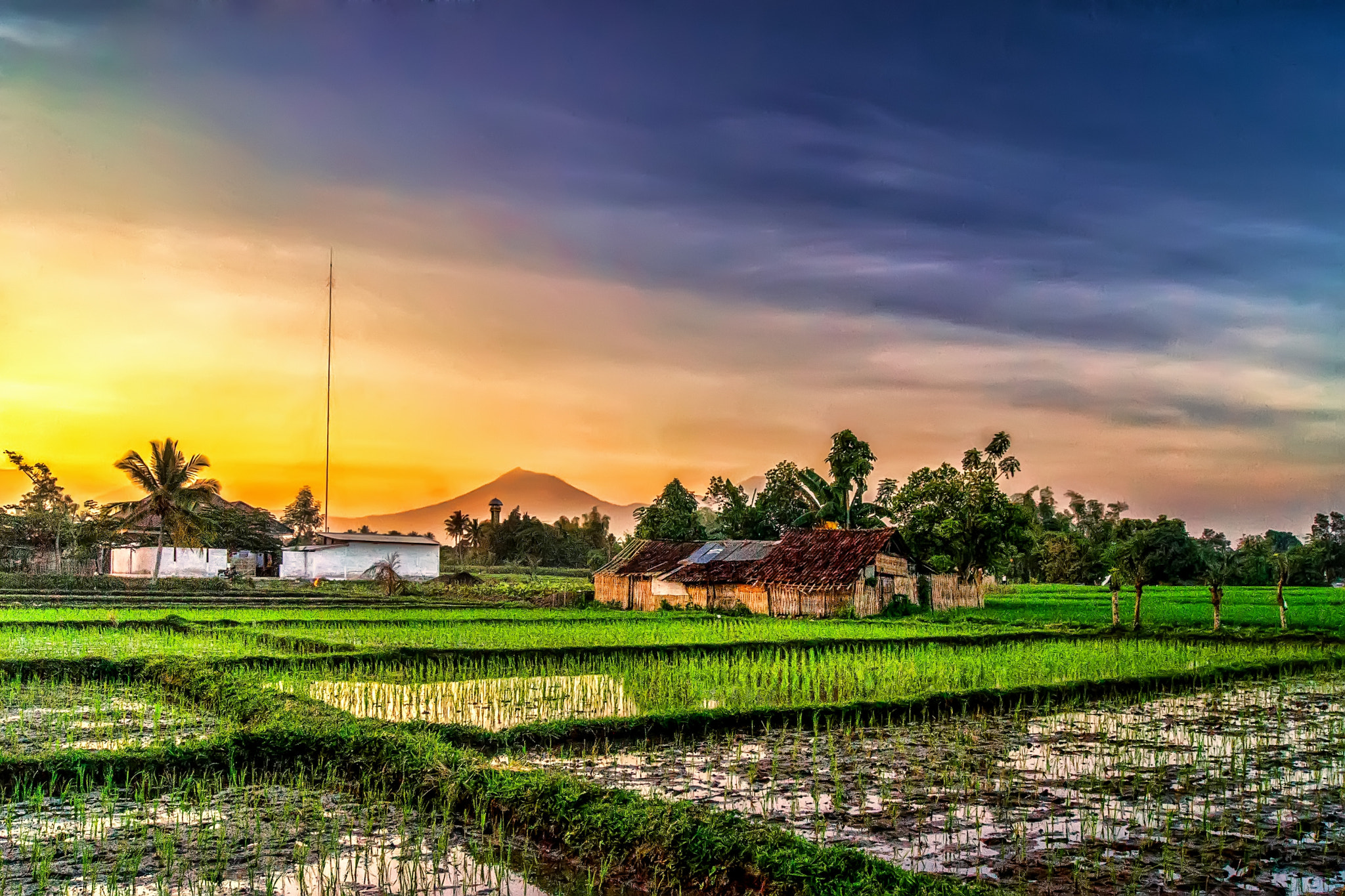 Sony Alpha DSLR-A560 sample photo. Panorama senja photography