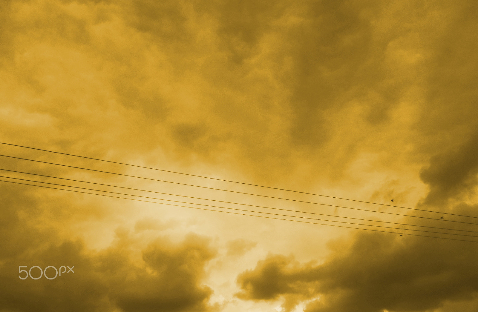 Samsung PL20,PL21 / VLUU PL20,PL21 sample photo. Sky is the limit photography