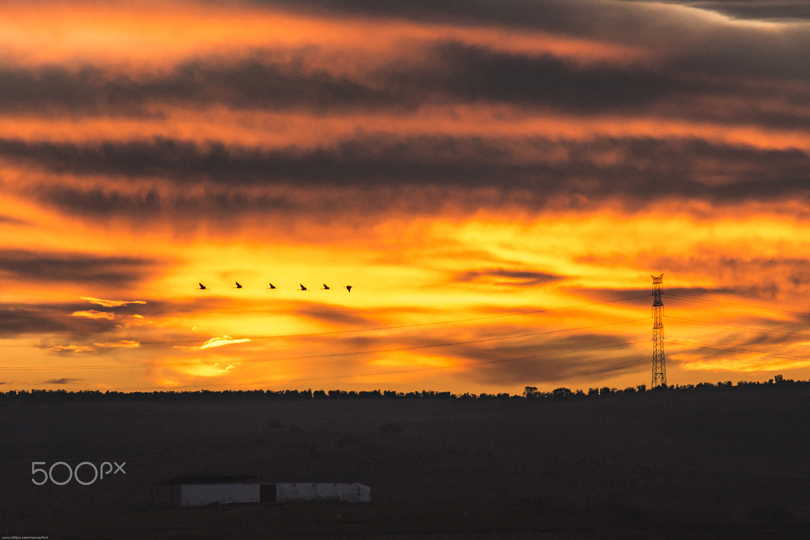 Nikon D7100 + Sigma 50-150mm F2.8 EX APO DC HSM II sample photo. Migrando al sur / migrating south photography