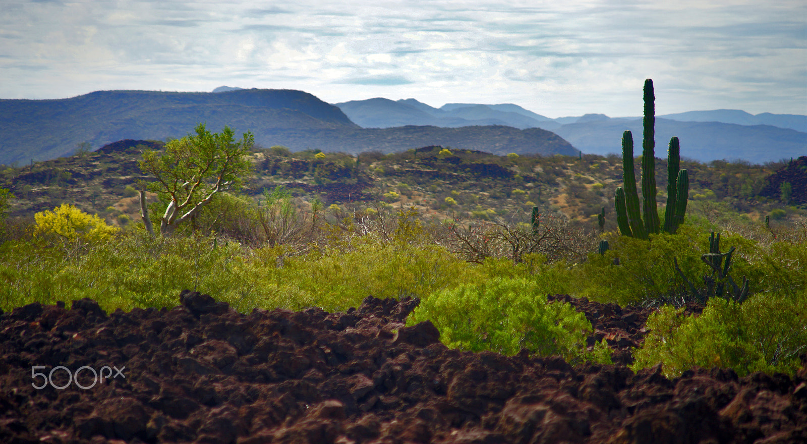 Sony a99 II + Minolta AF 70-210mm F4 Macro sample photo. Ancient lava fields photography