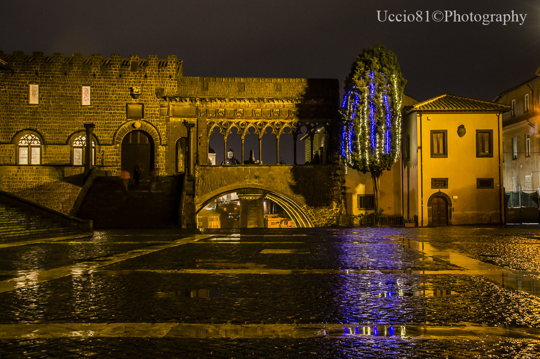 Sony Alpha DSLR-A580 + Sigma DC 18-125mm F4-5,6 D sample photo. Palazzo dei papi - viterbo photography