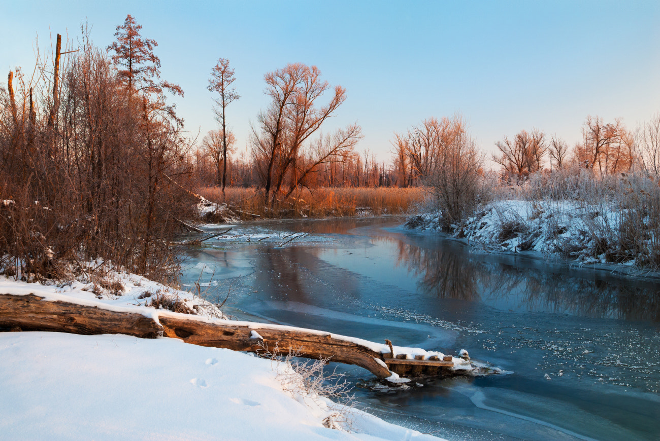 Nikon D200 sample photo. Winter on river photography