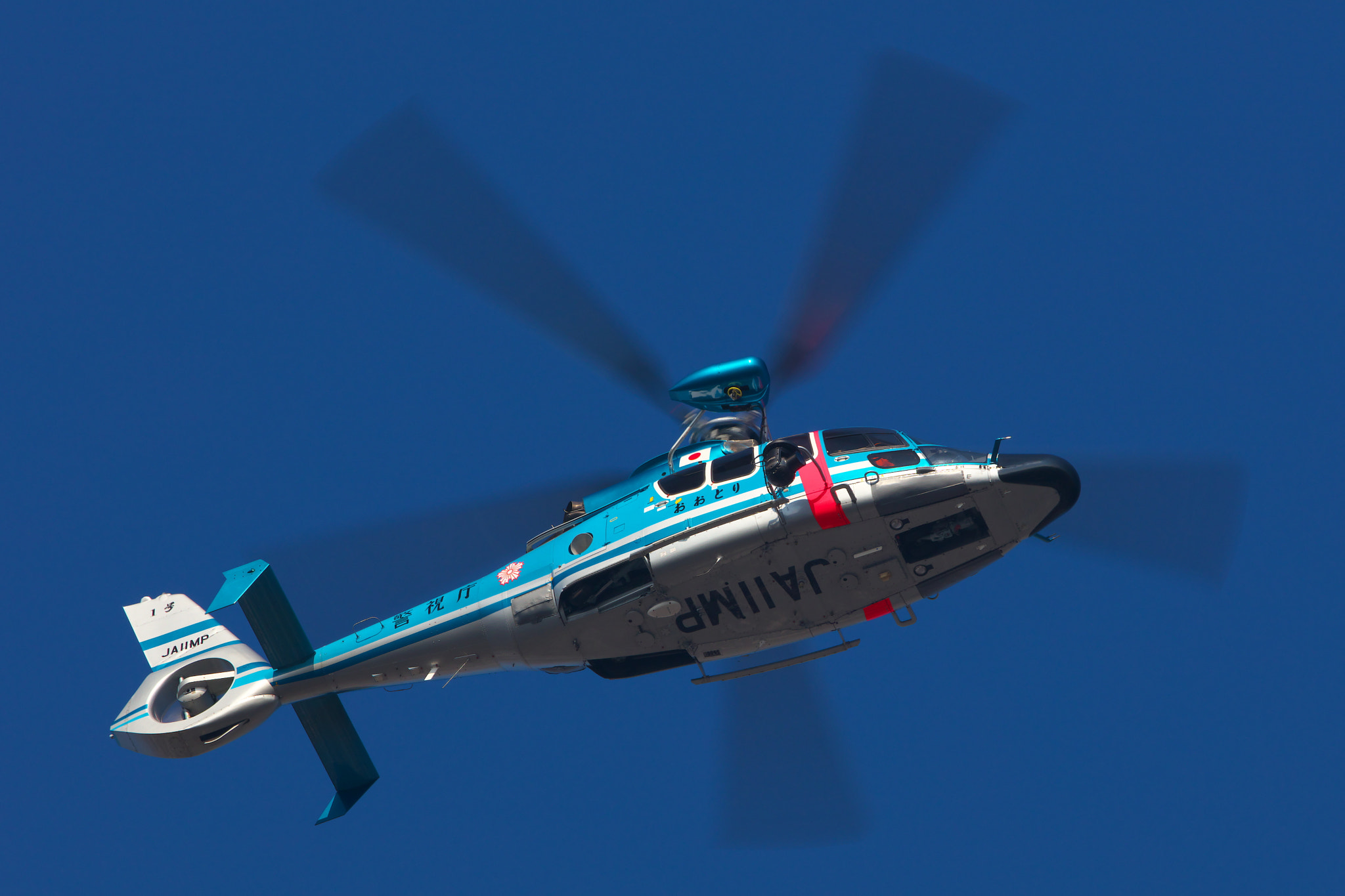 Canon EF 600mm F4L IS II USM sample photo. Japanese police photography