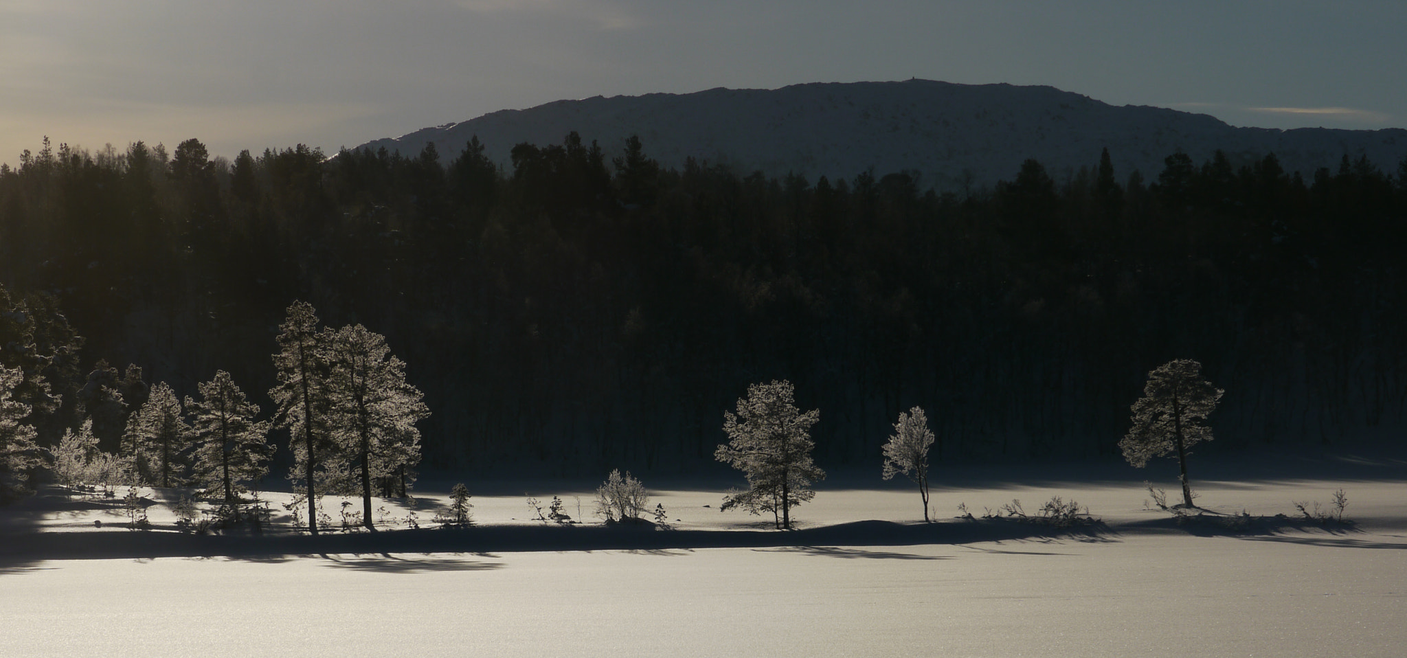 Panasonic Lumix DMC-GH1 sample photo. Winter light photography