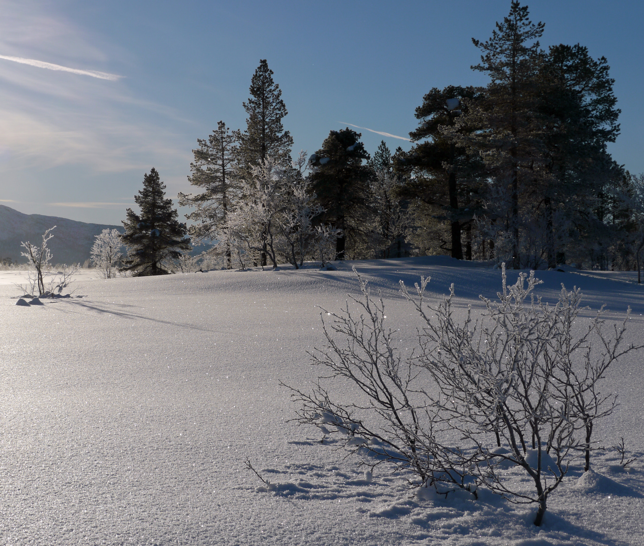 Panasonic Lumix DMC-GH1 sample photo. Winter photography