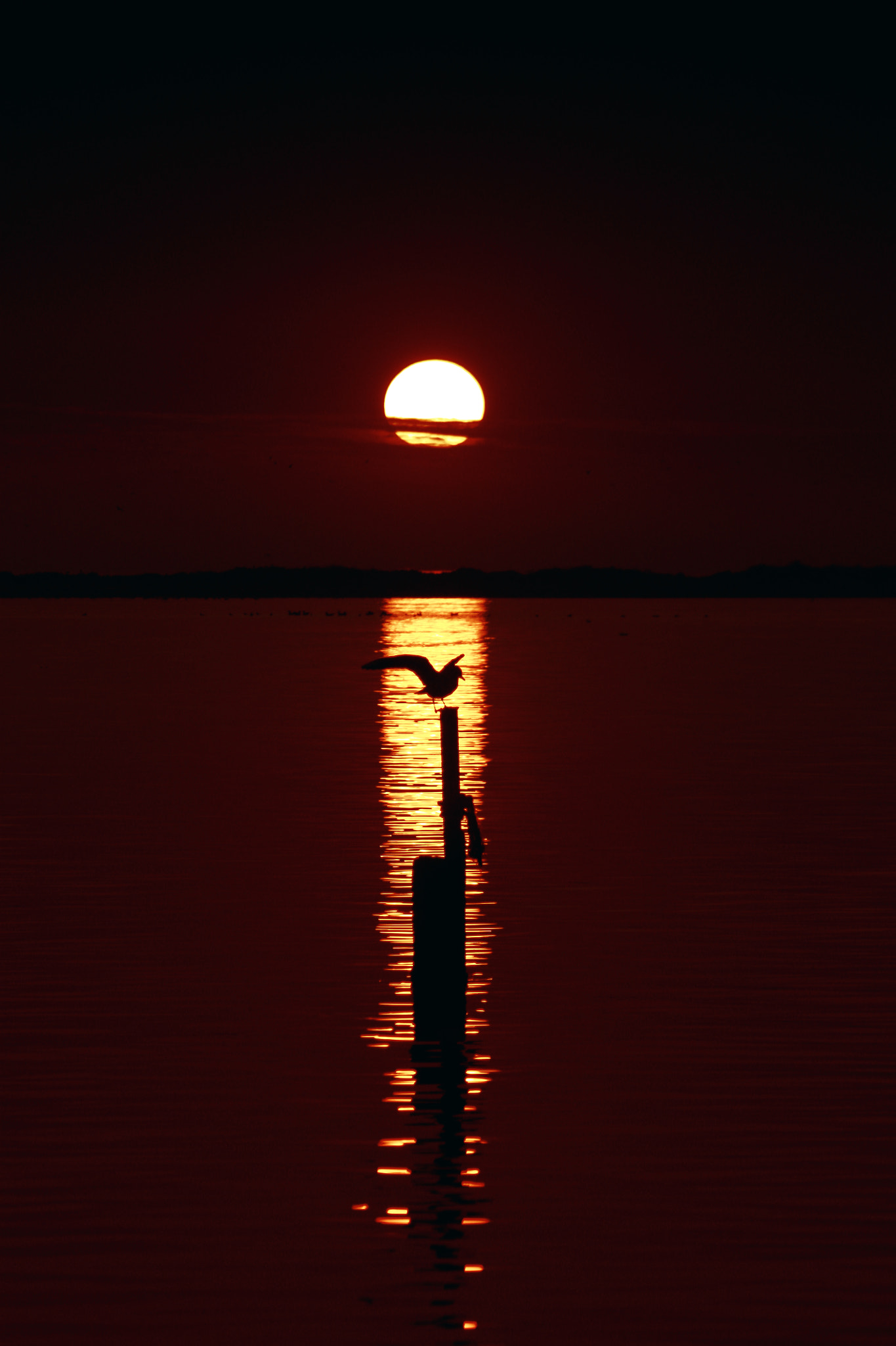 Canon EF 75-300mm f/4-5.6 USM sample photo. Sunset photography