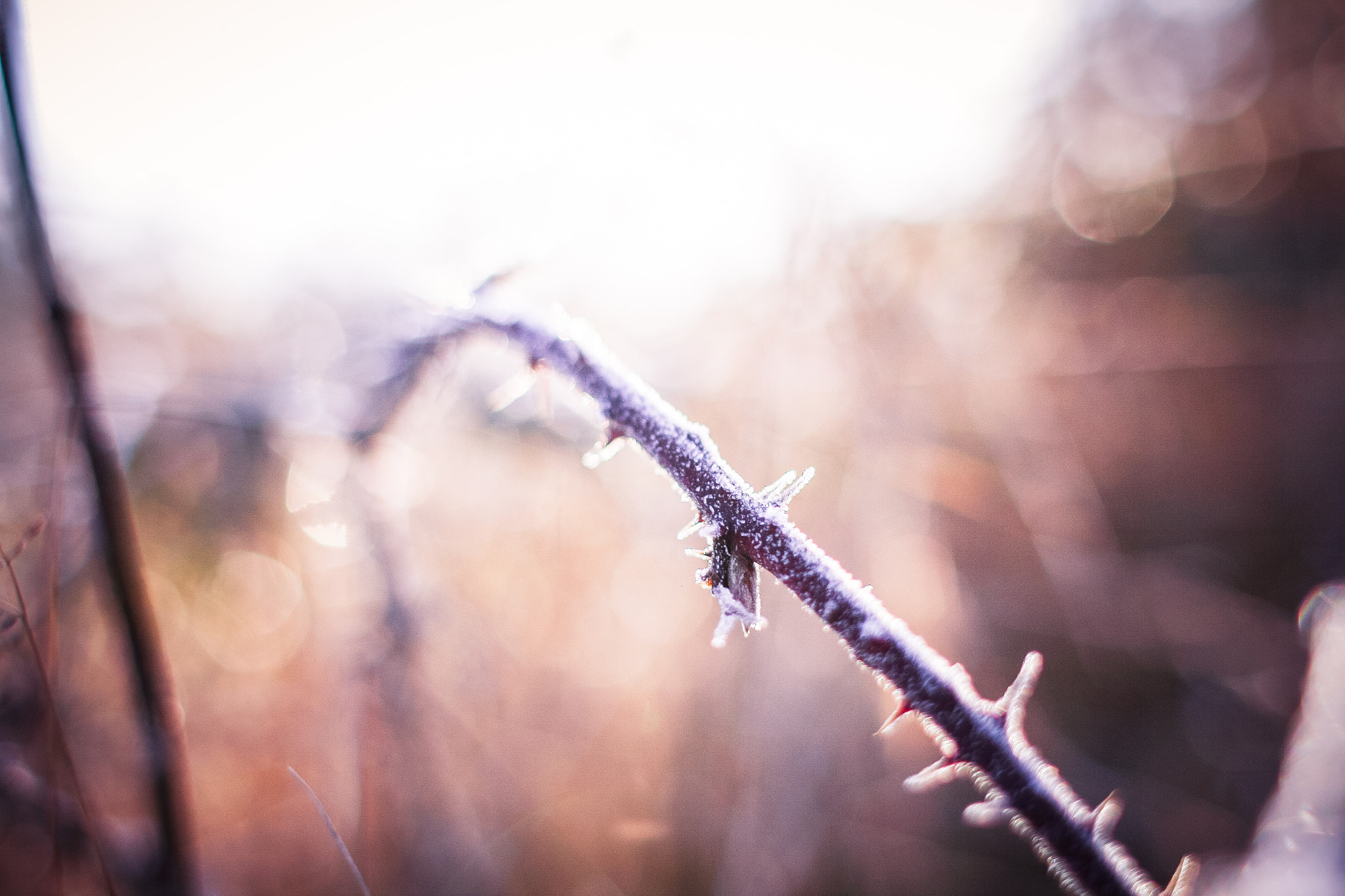 Canon EF 28mm F1.8 USM sample photo. Picjumbo com photography