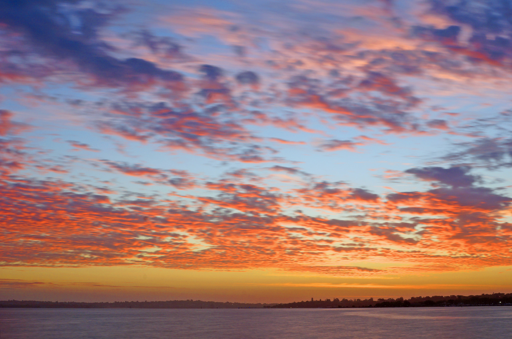 Sony SLT-A77 + Sony DT 35mm F1.8 SAM sample photo. Swan river, south perth photography