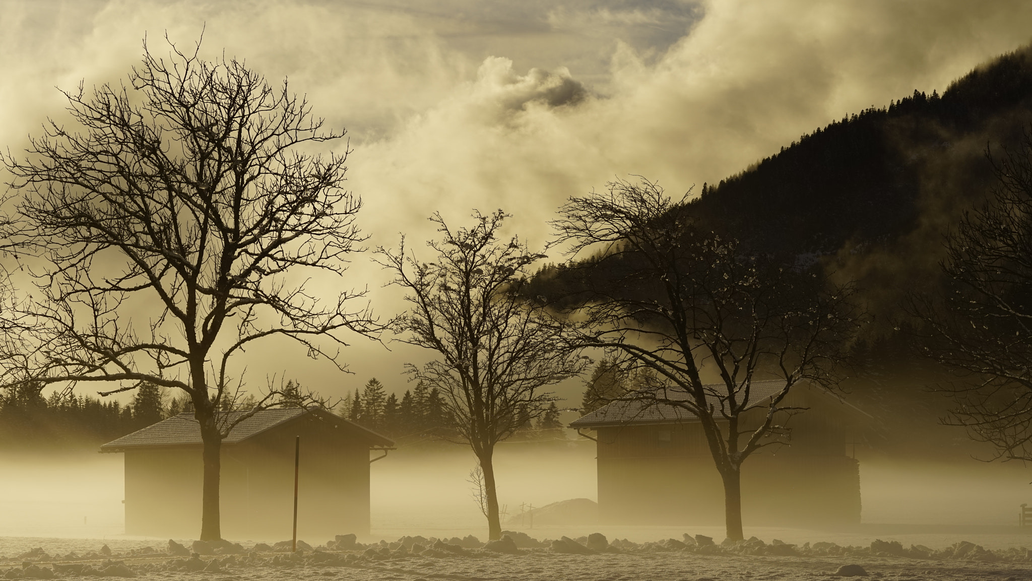 Sony a7R + Sony FE 90mm F2.8 Macro G OSS sample photo. The special winter photography