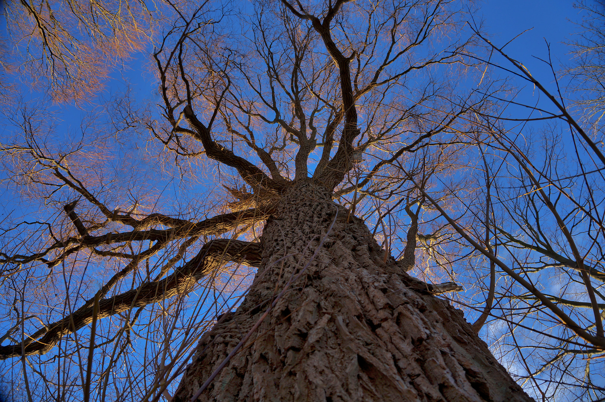 Sony Alpha NEX-F3 + Sony E 16-50mm F3.5-5.6 PZ OSS sample photo. Warm me up.... photography