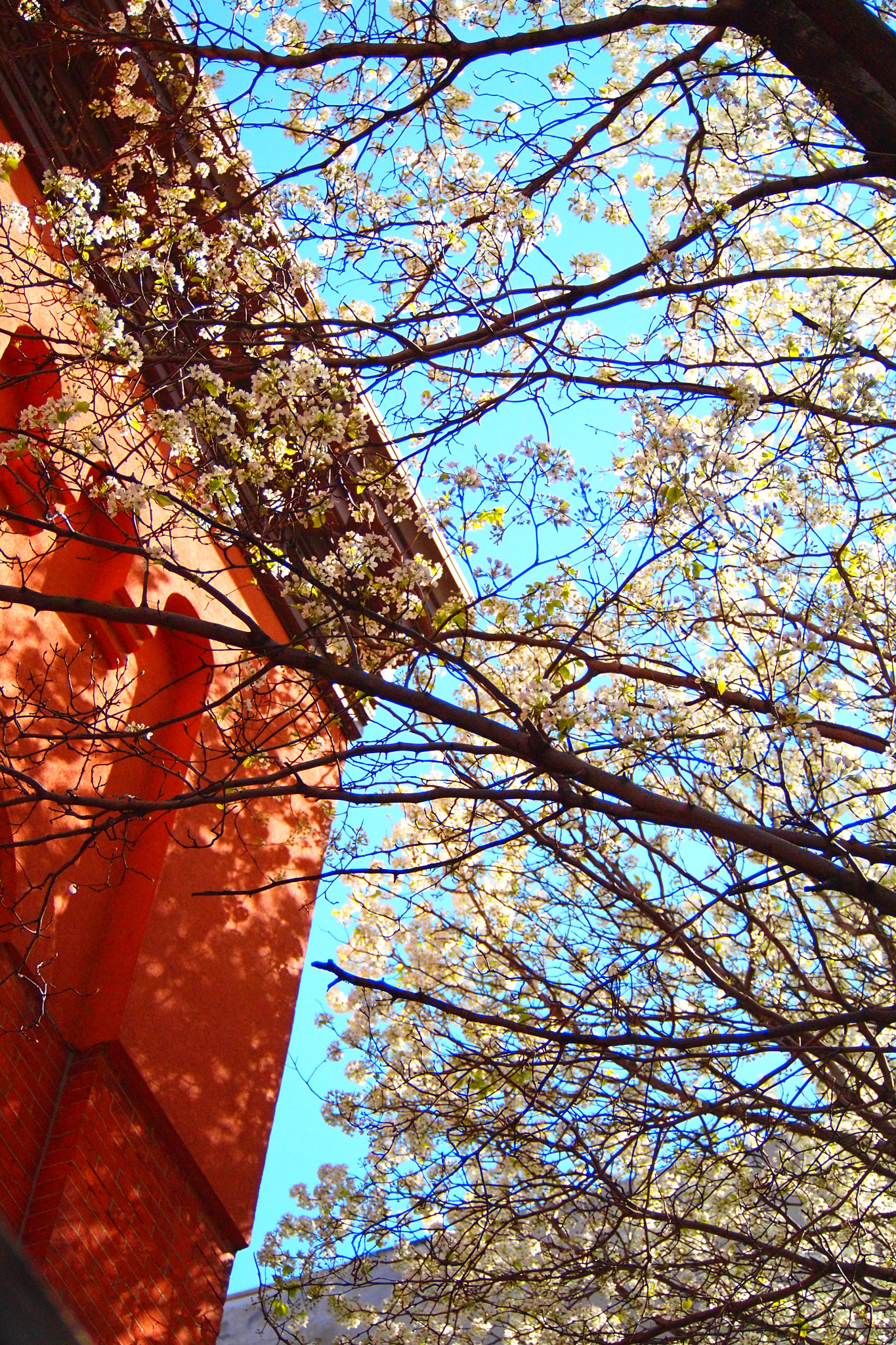 Olympus PEN E-P2 sample photo. Olympus digital camera photography