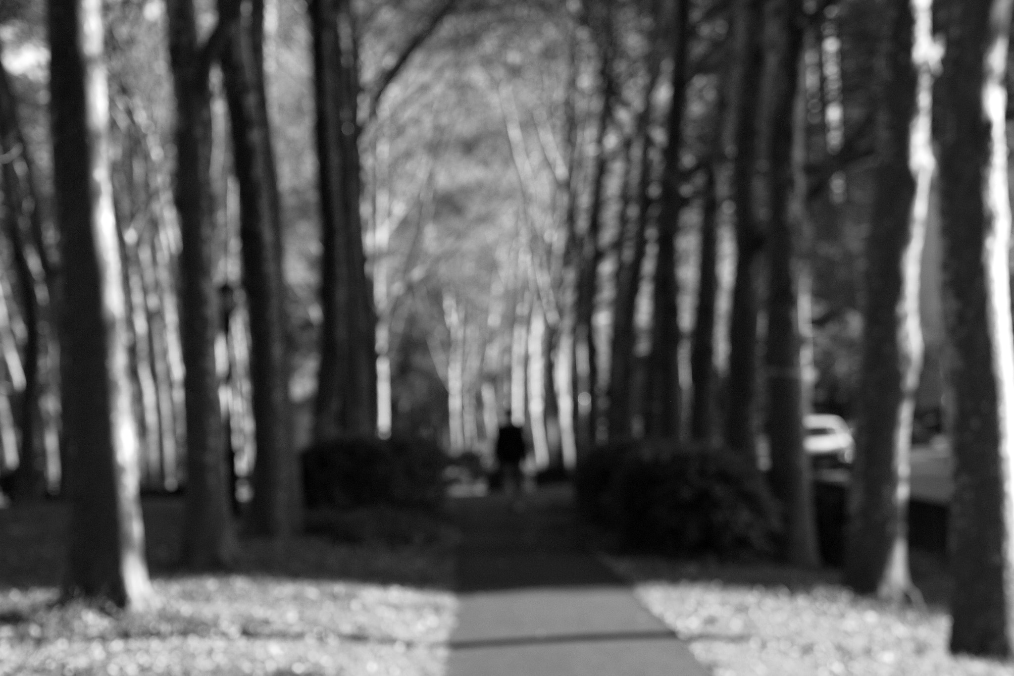 Olympus PEN E-P2 sample photo. Olympus digital camera photography