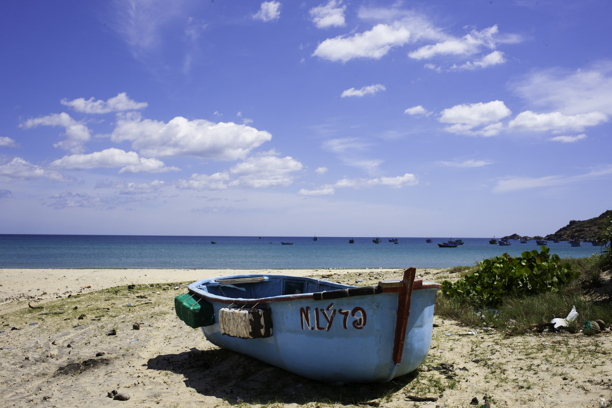 Canon EOS-1Ds Mark III sample photo. Alone photography