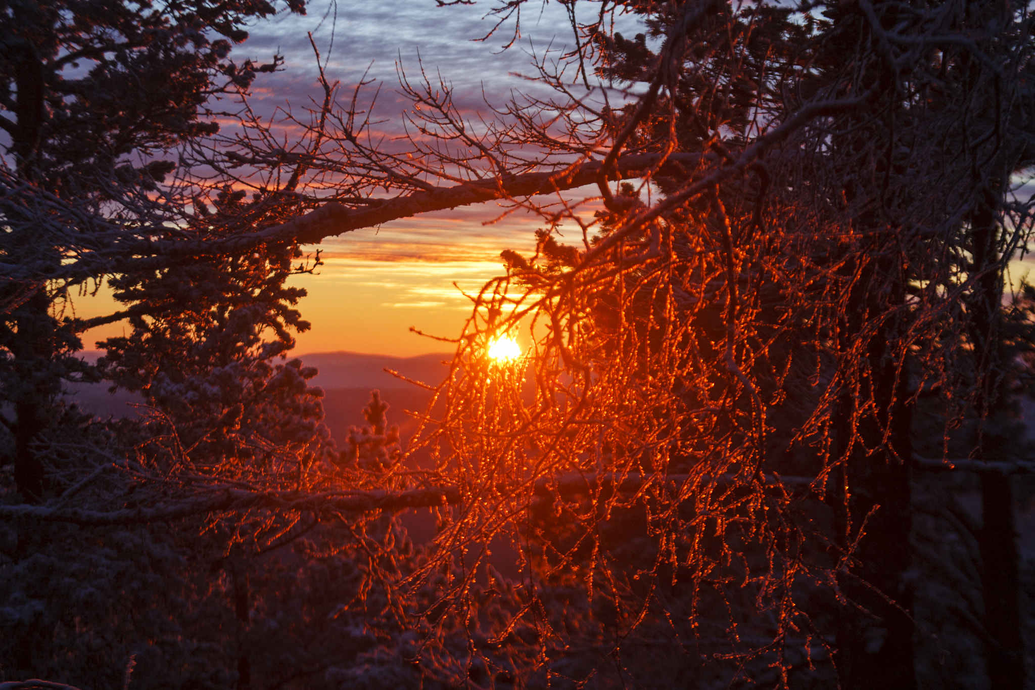Canon EF 28-105mm f/3.5-4.5 USM sample photo. Mitra photography