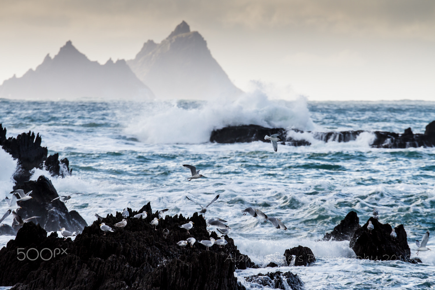 Canon EOS 7D + Sigma 120-300mm F2.8 EX DG HSM sample photo. Skelligs & st finians photography
