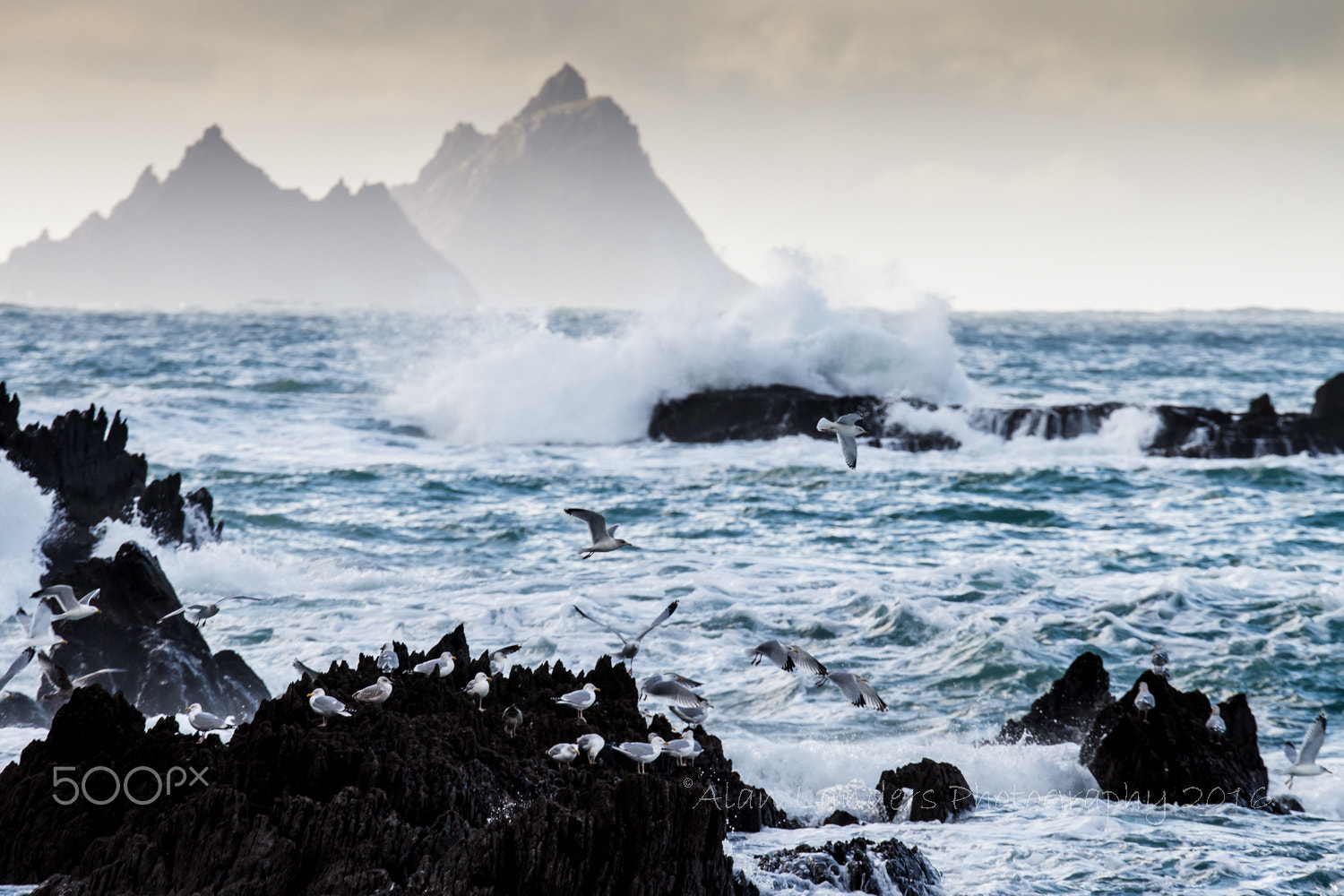 Sigma 120-300mm F2.8 EX DG HSM sample photo. Skelligs & st finians photography