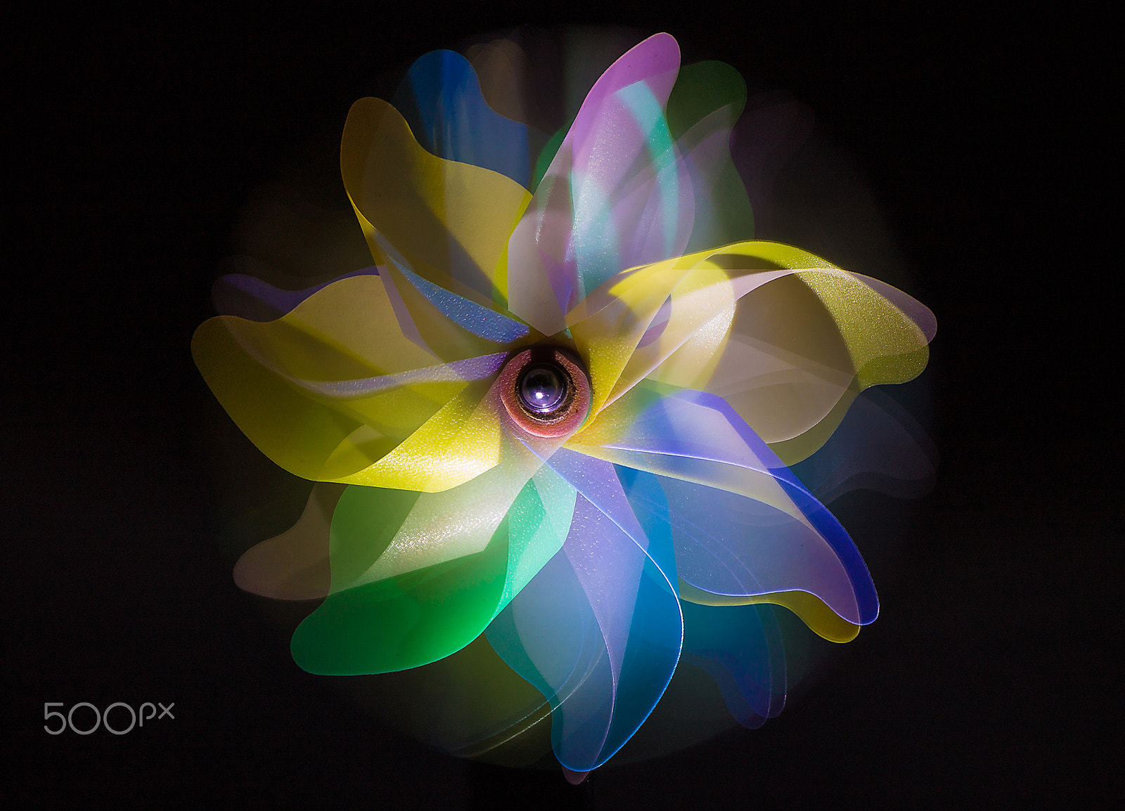 Canon EF 28-105mm f/3.5-4.5 USM sample photo. Euphoria....... photography