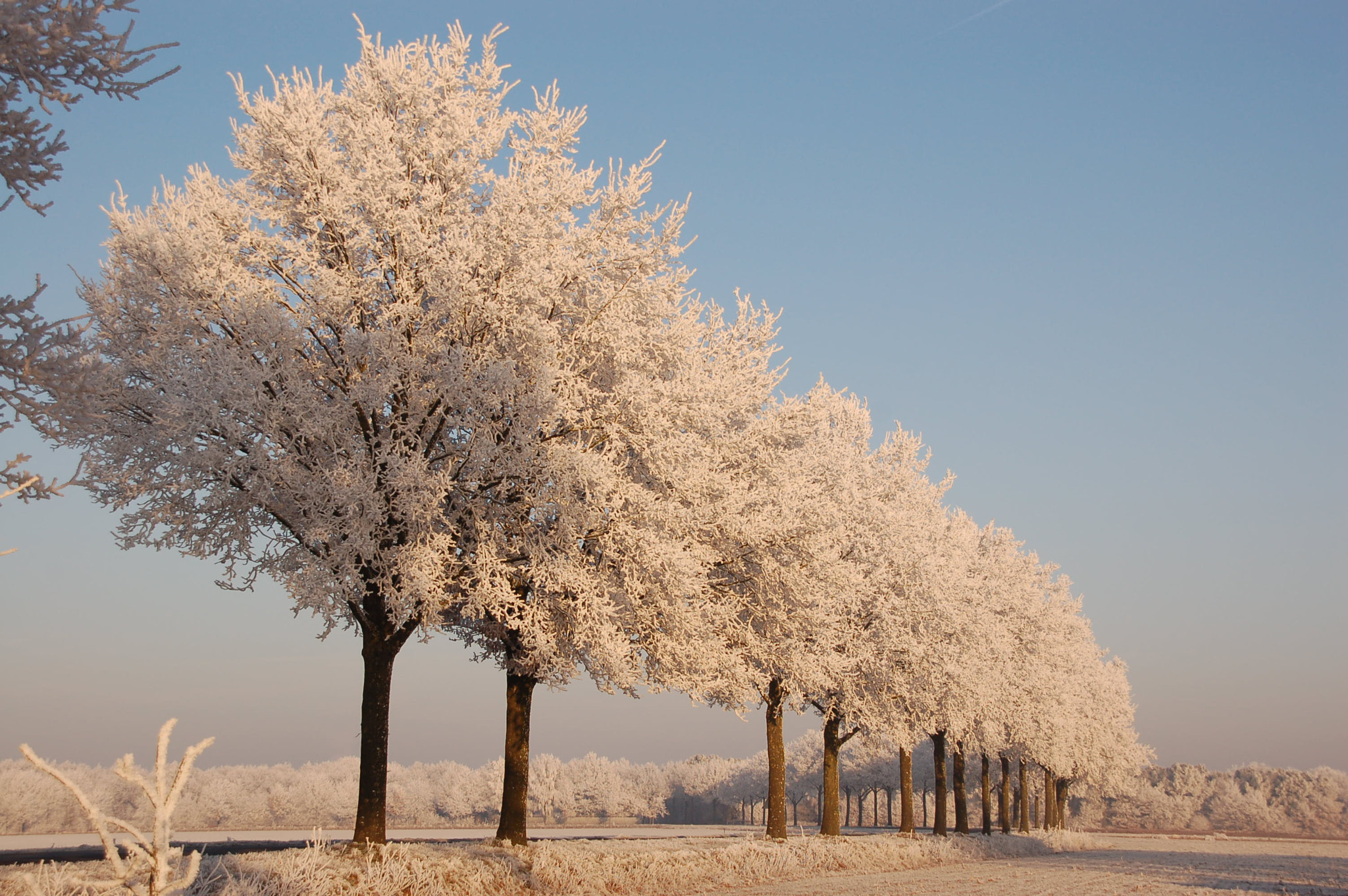 Nikon D50 + Sigma 18-200mm F3.5-6.3 DC sample photo. Winter photography