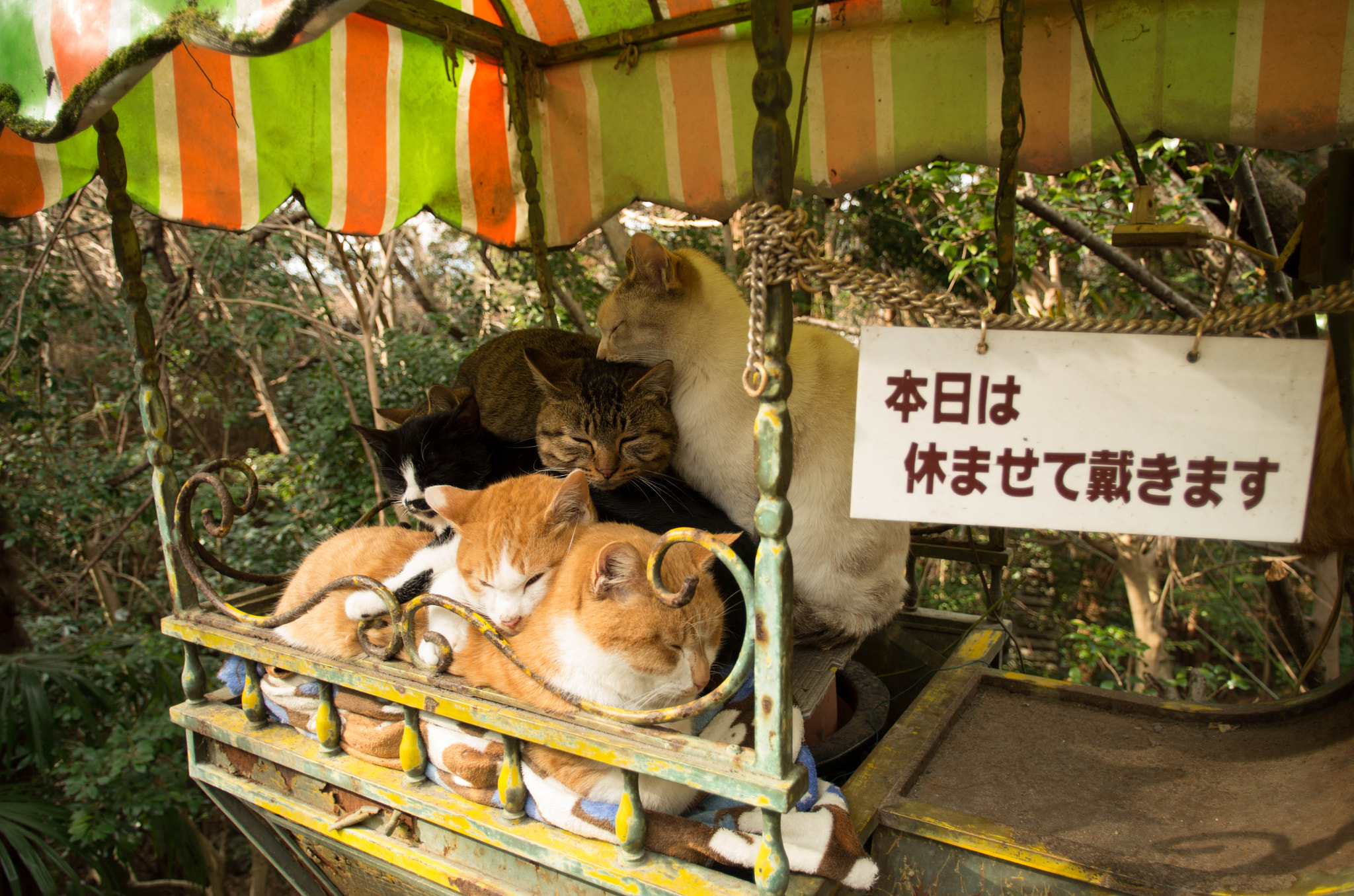 Pentax K-01 sample photo. Overcrowded photography
