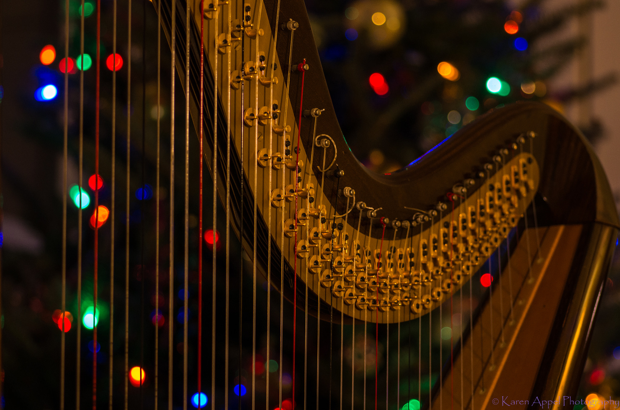 Pentax K-5 IIs + Pentax smc D-FA 100mm F2.8 Macro WR sample photo. A  holiday harp photography