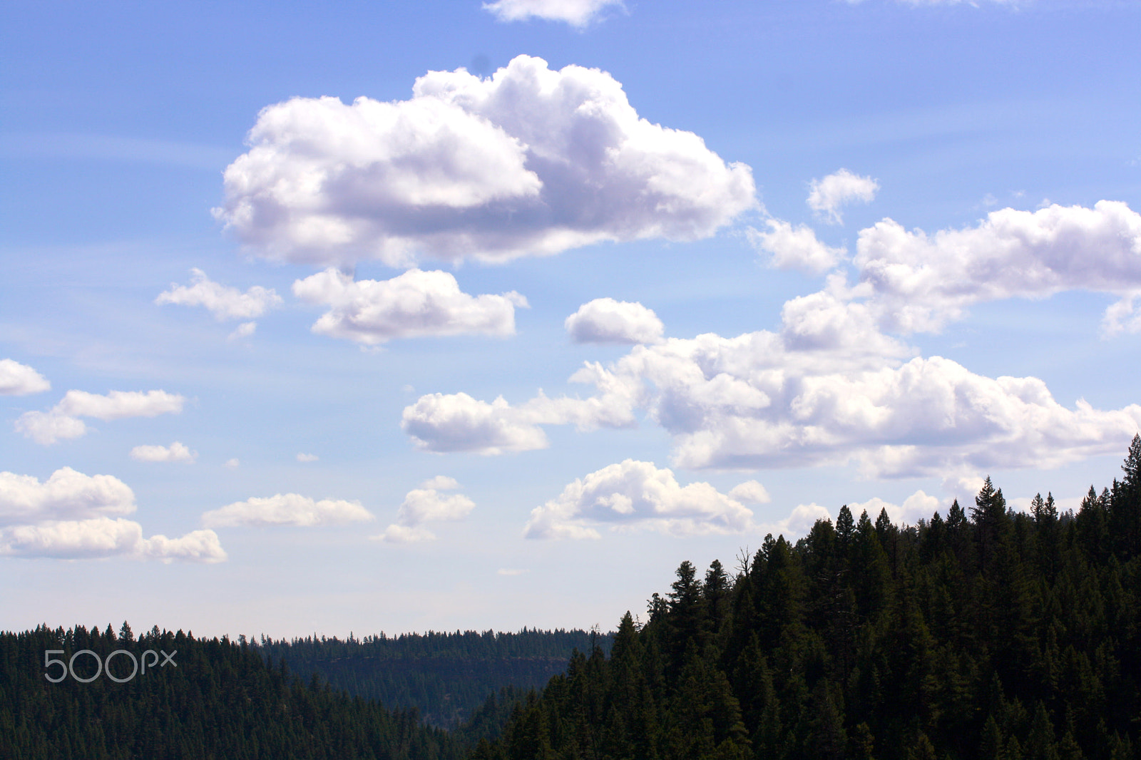 Canon EOS 1000D (EOS Digital Rebel XS / EOS Kiss F) sample photo. Cotton candy clouds photography