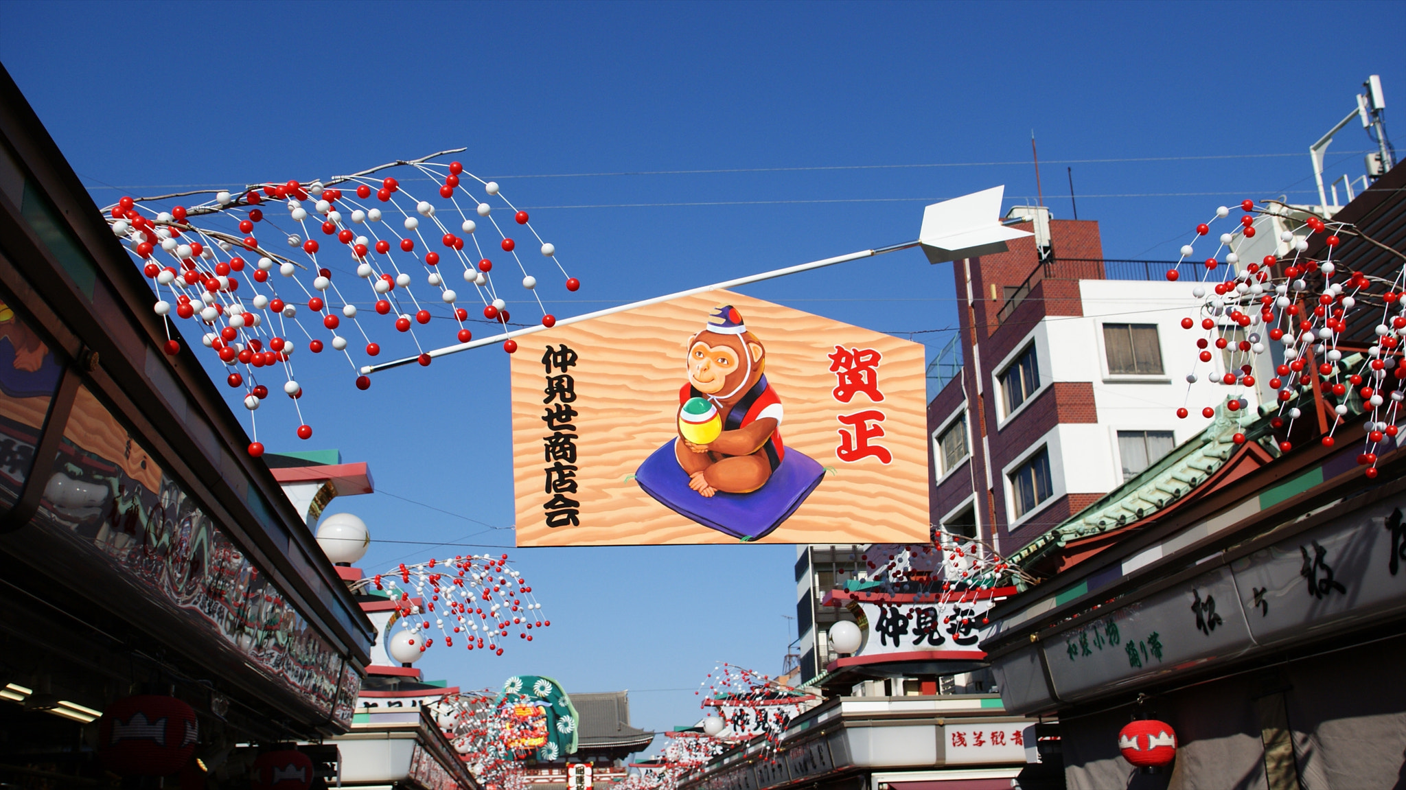 Sony Alpha DSLR-A330 sample photo. This yeah animal is monkey　干支 photography